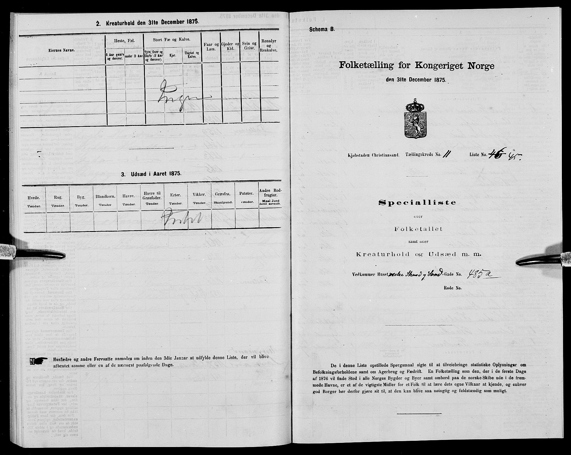 SAK, 1875 census for 1001P Kristiansand, 1875, p. 1913