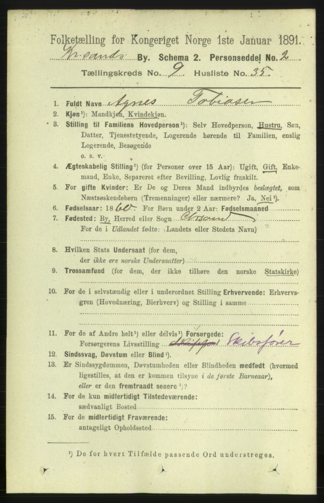 RA, 1891 census for 1001 Kristiansand, 1891, p. 5262