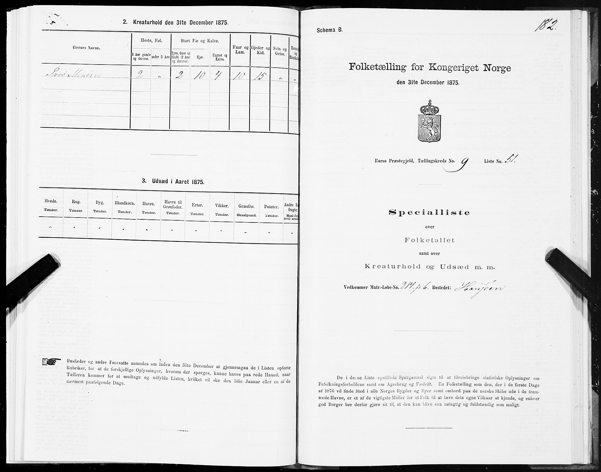 SAT, 1875 census for 1640P Røros, 1875, p. 5182