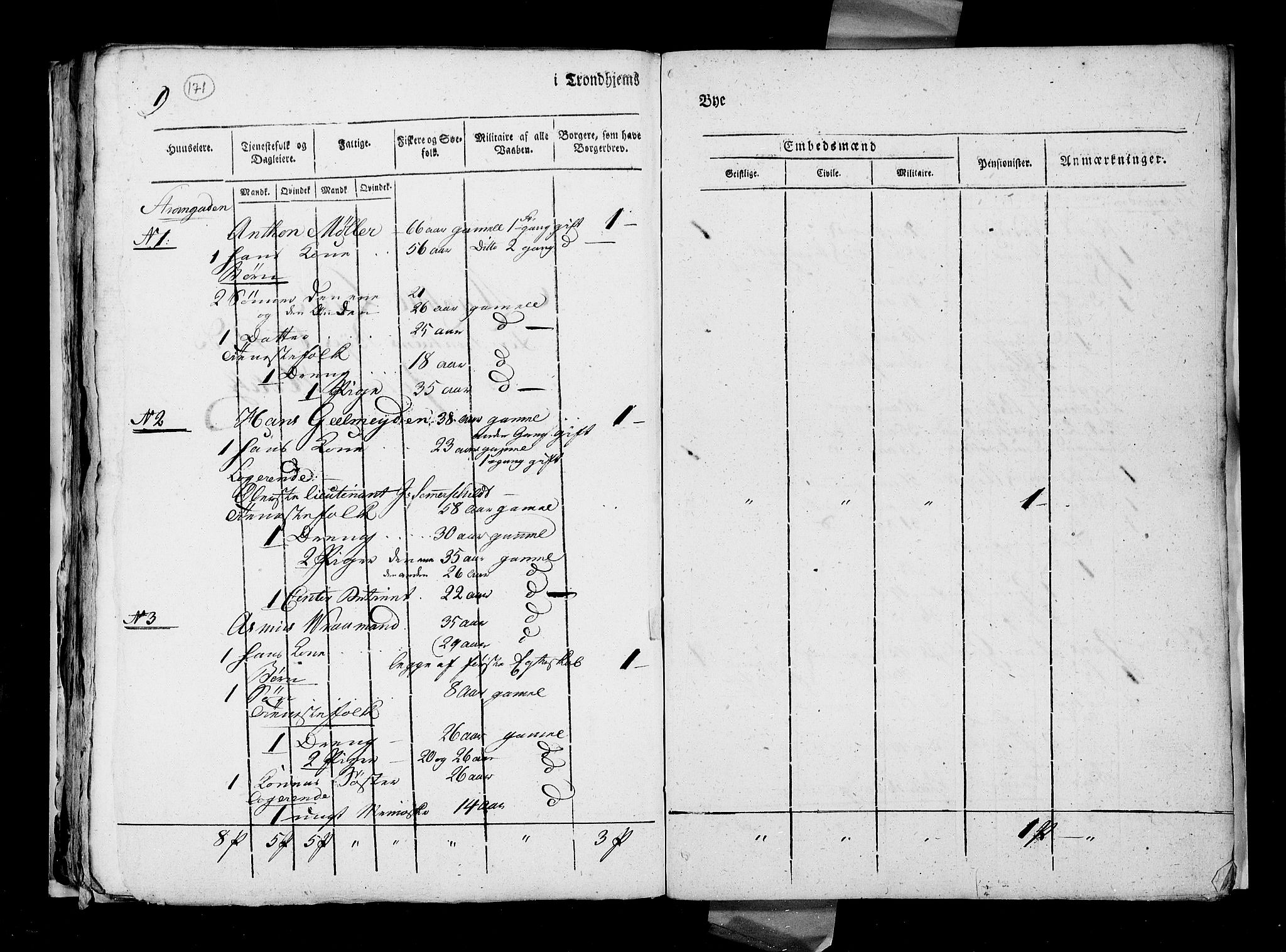 RA, Census 1815, vol. 4: Trondheim, 1815, p. 176