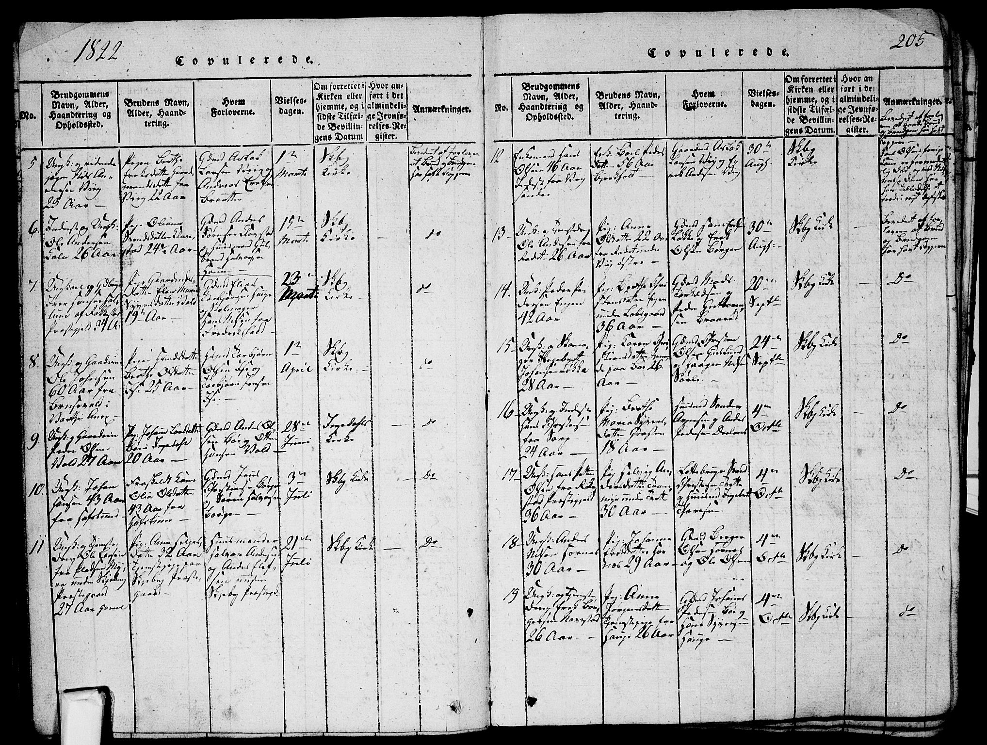 Skjeberg prestekontor Kirkebøker, AV/SAO-A-10923/G/Ga/L0001: Parish register (copy) no. I 1, 1815-1830, p. 205