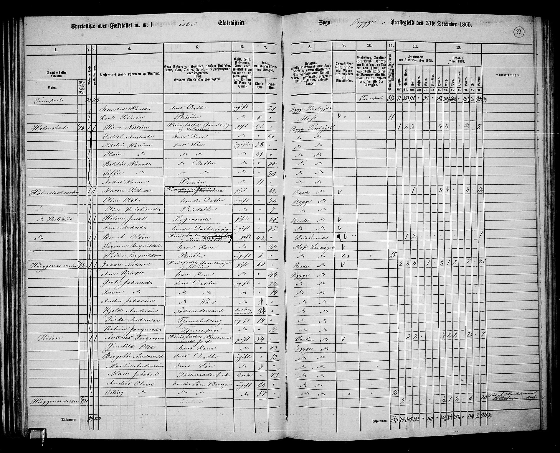 RA, 1865 census for Rygge, 1865, p. 25