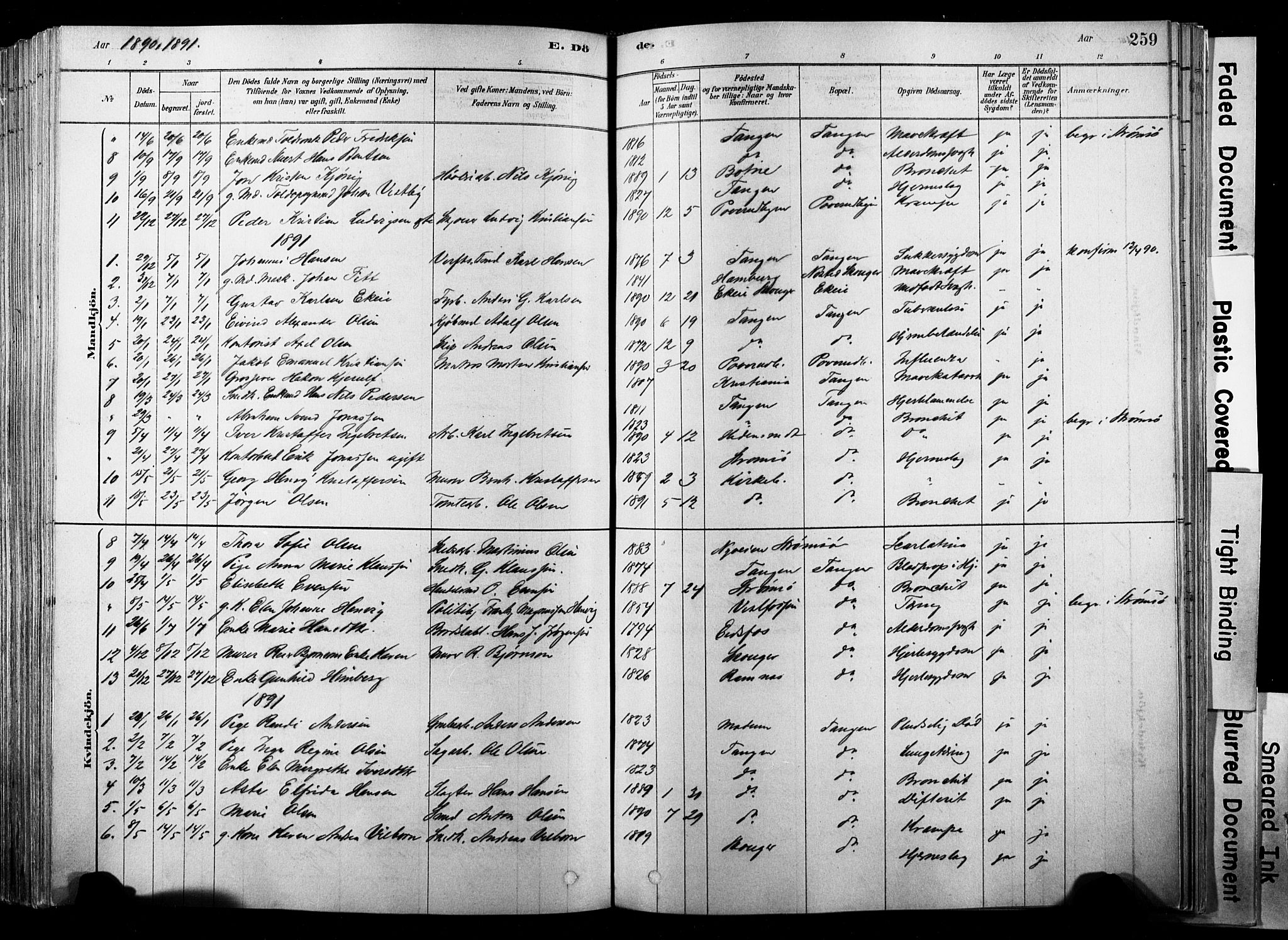 Strømsø kirkebøker, SAKO/A-246/F/Fb/L0006: Parish register (official) no. II 6, 1879-1910, p. 259