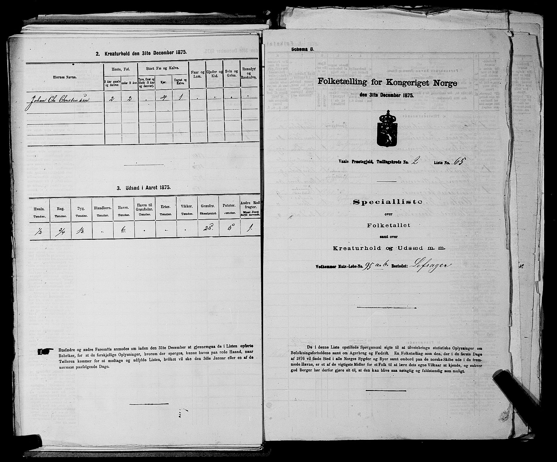 SAKO, 1875 census for 0716P Våle, 1875, p. 511