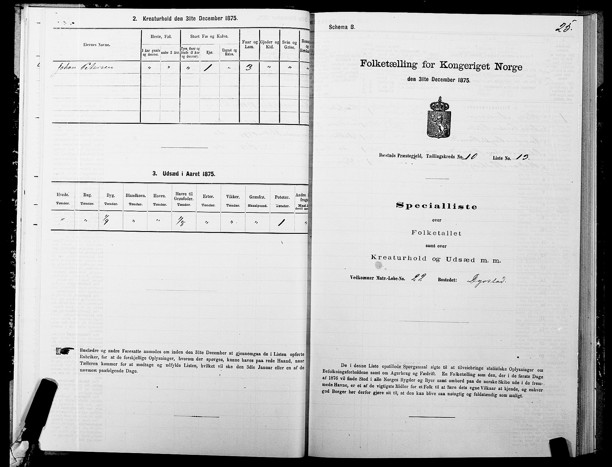 SATØ, 1875 census for 1917P Ibestad, 1875, p. 7025