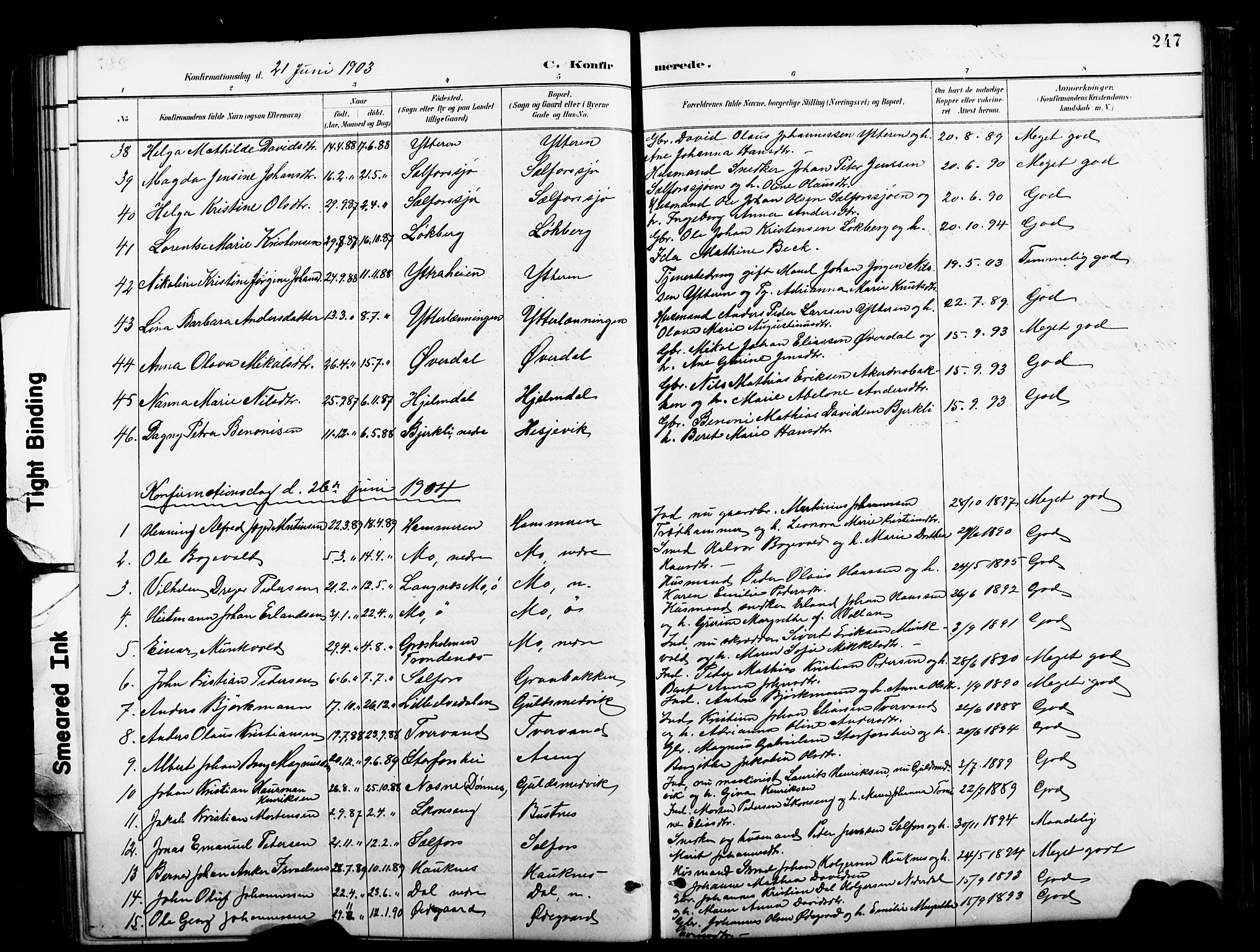 Ministerialprotokoller, klokkerbøker og fødselsregistre - Nordland, SAT/A-1459/827/L0421: Parish register (copy) no. 827C10, 1887-1906, p. 247