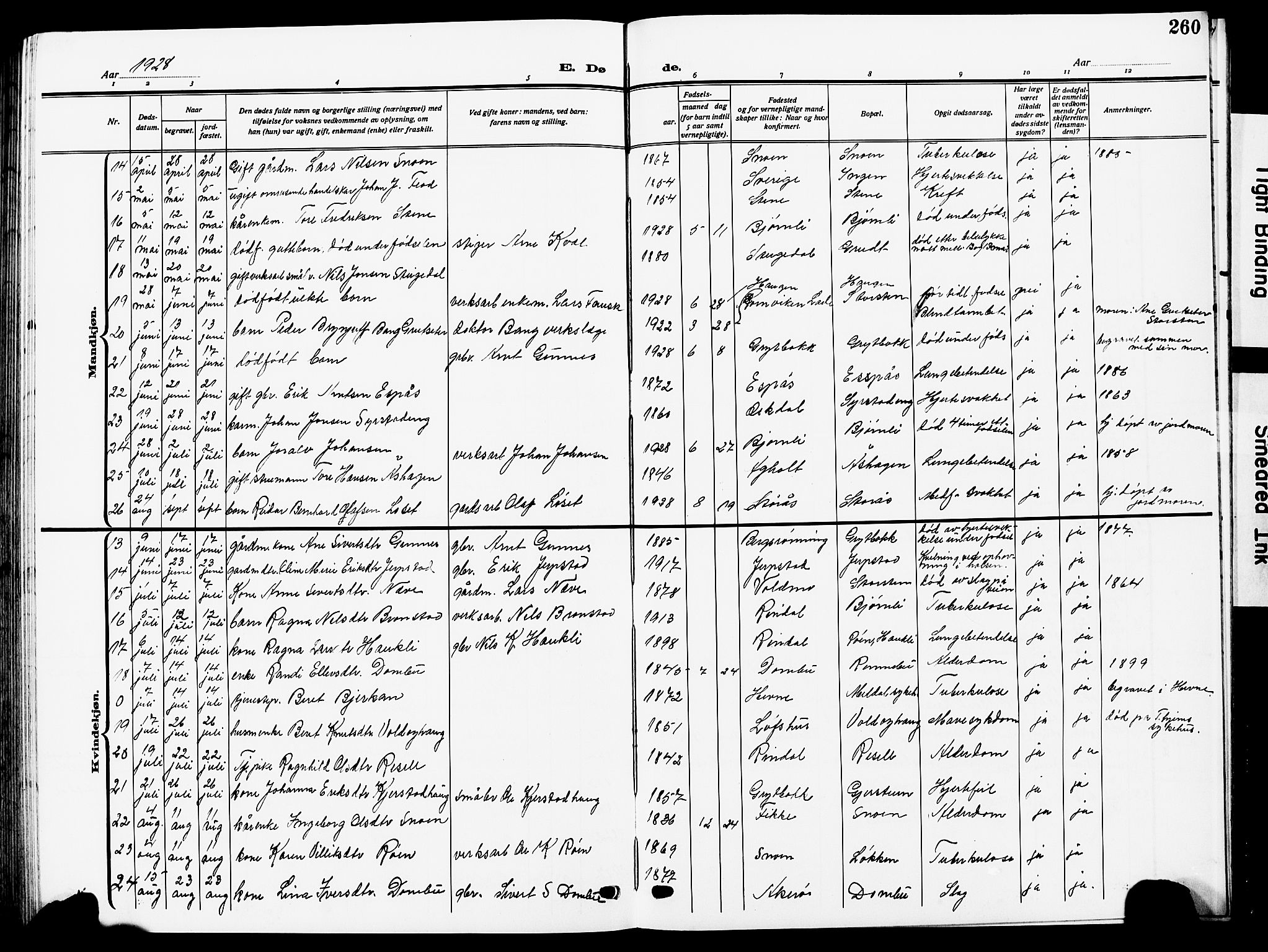 Ministerialprotokoller, klokkerbøker og fødselsregistre - Sør-Trøndelag, SAT/A-1456/672/L0865: Parish register (copy) no. 672C04, 1914-1928, p. 260