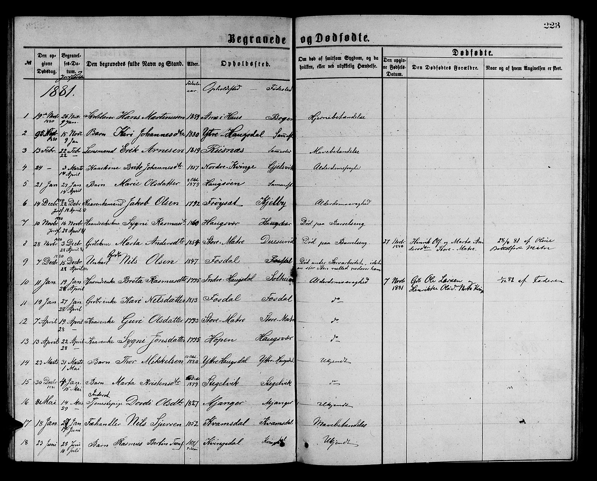 Masfjorden Sokneprestembete, AV/SAB-A-77001: Parish register (copy) no. A 2, 1876-1891, p. 223