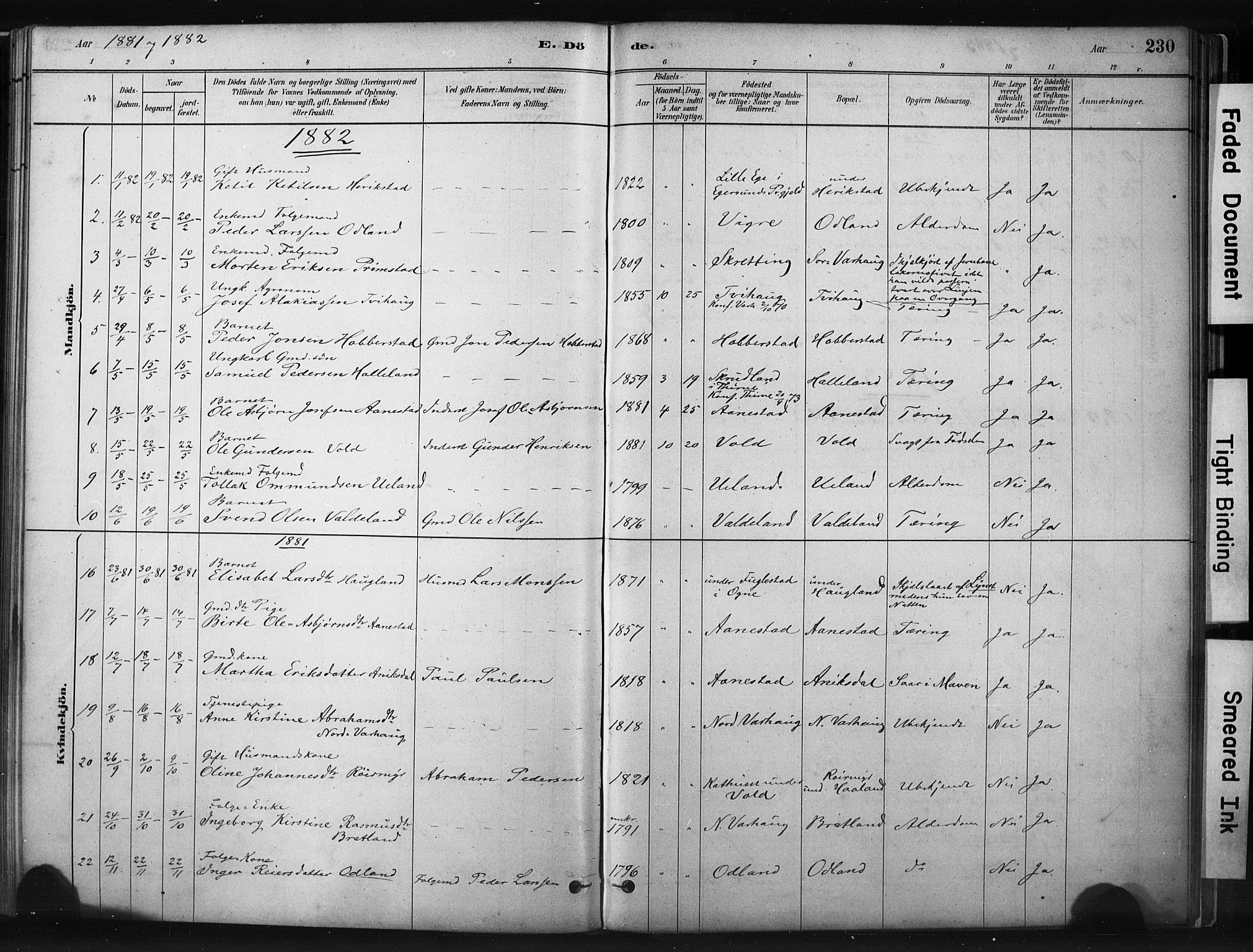 Hå sokneprestkontor, AV/SAST-A-101801/001/30BA/L0011: Parish register (official) no. A 10, 1879-1900, p. 230