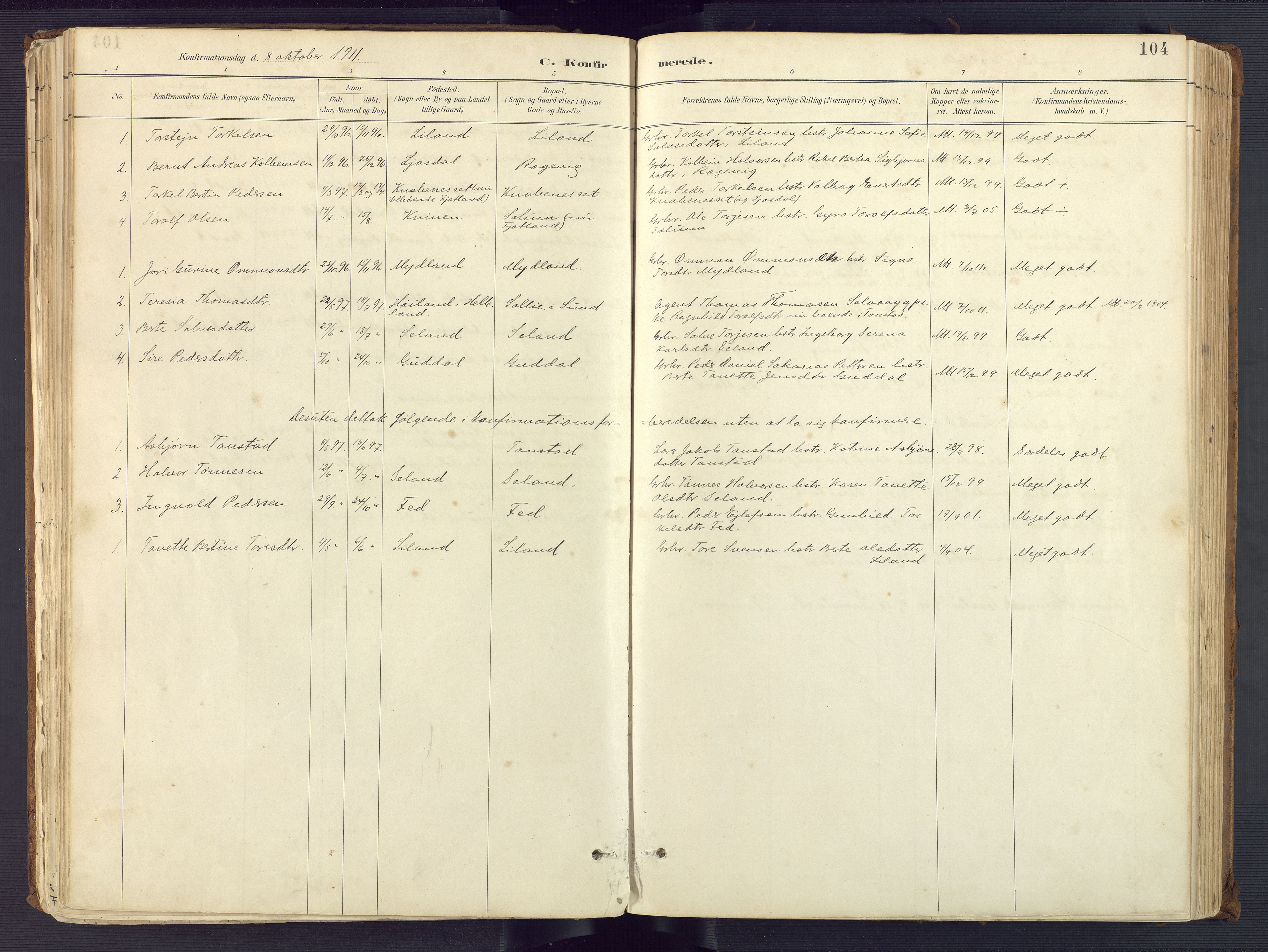 Sirdal sokneprestkontor, AV/SAK-1111-0036/F/Fa/Fab/L0004: Parish register (official) no. A 4, 1887-1919, p. 104