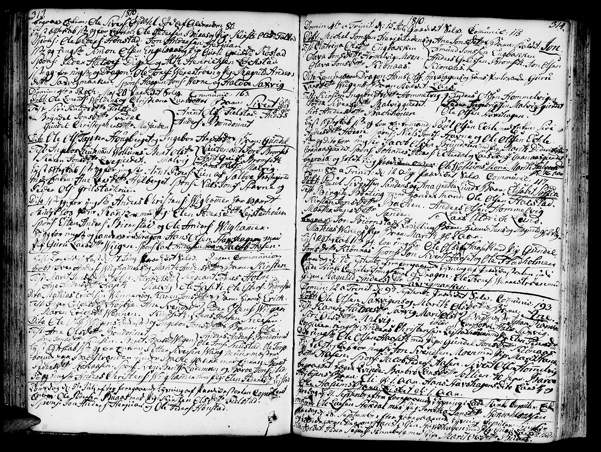 Ministerialprotokoller, klokkerbøker og fødselsregistre - Sør-Trøndelag, SAT/A-1456/606/L0281: Parish register (official) no. 606A02 /2, 1781-1817, p. 313-314