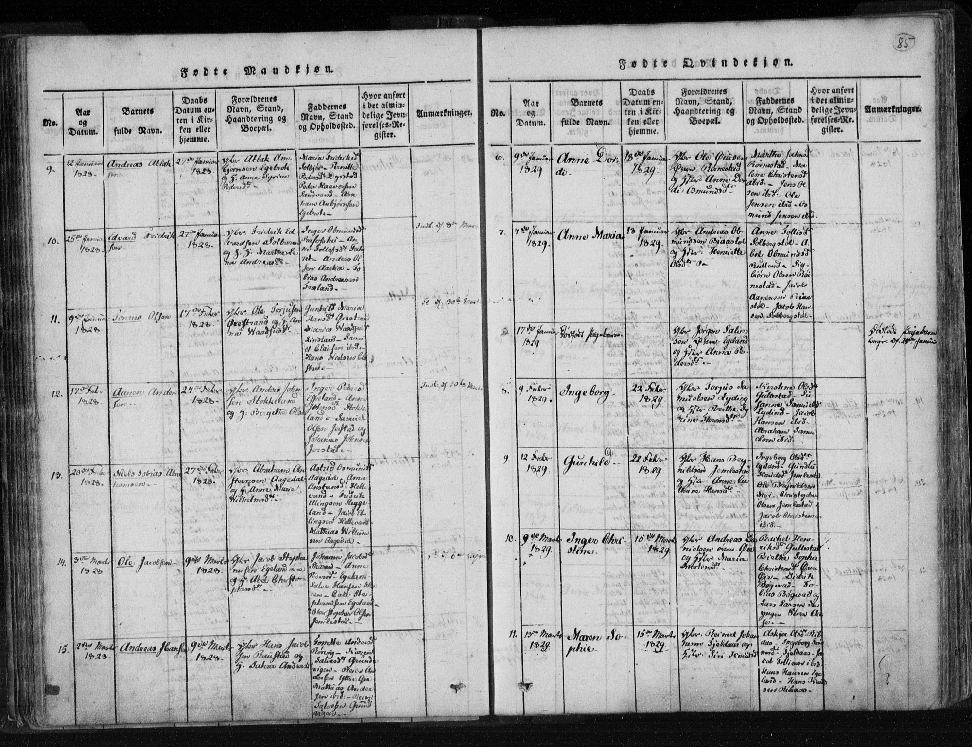 Kvinesdal sokneprestkontor, AV/SAK-1111-0026/F/Fa/Fab/L0003: Parish register (official) no. A 3, 1815-1829, p. 85