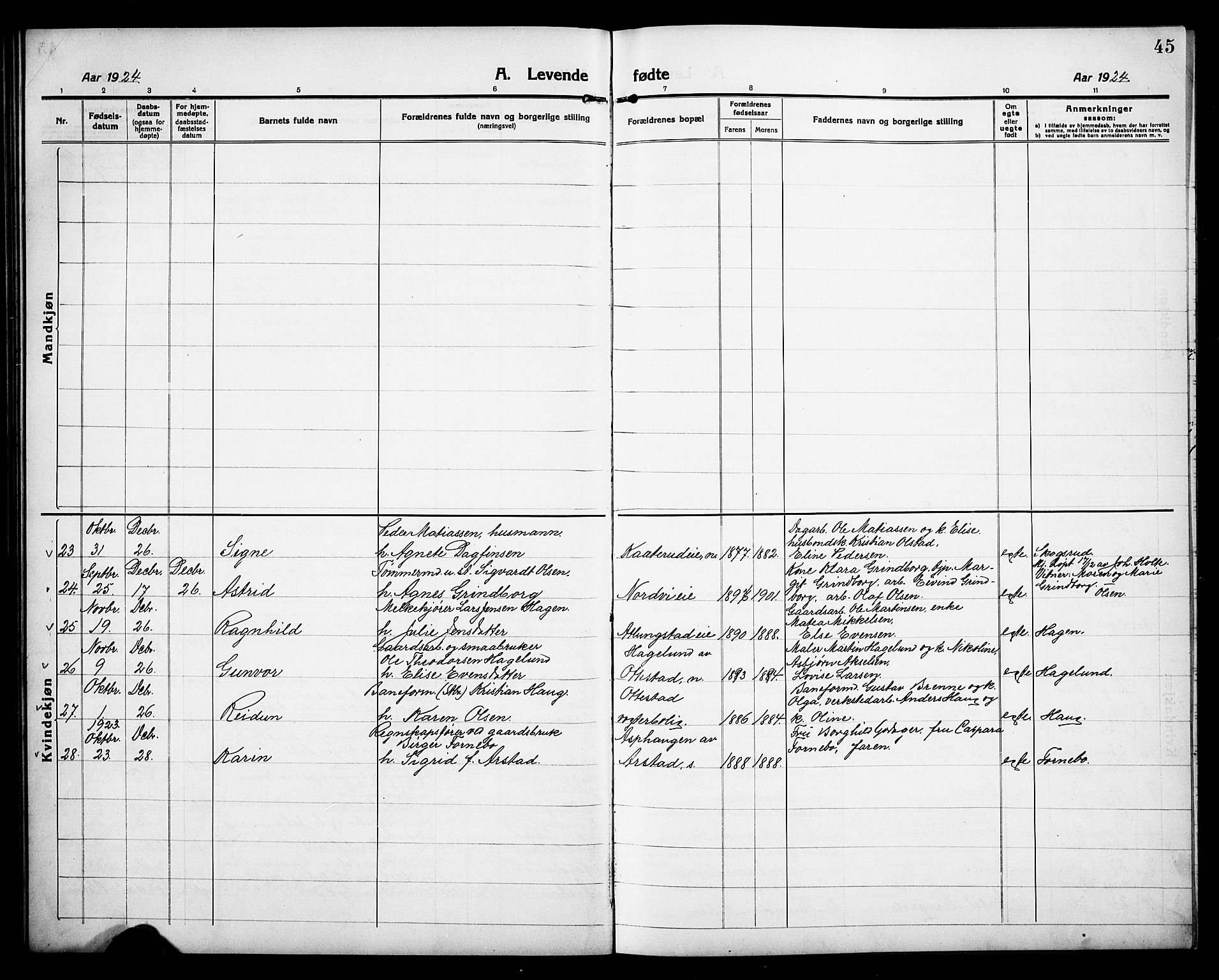 Stange prestekontor, AV/SAH-PREST-002/L/L0015: Parish register (copy) no. 15, 1916-1928, p. 45