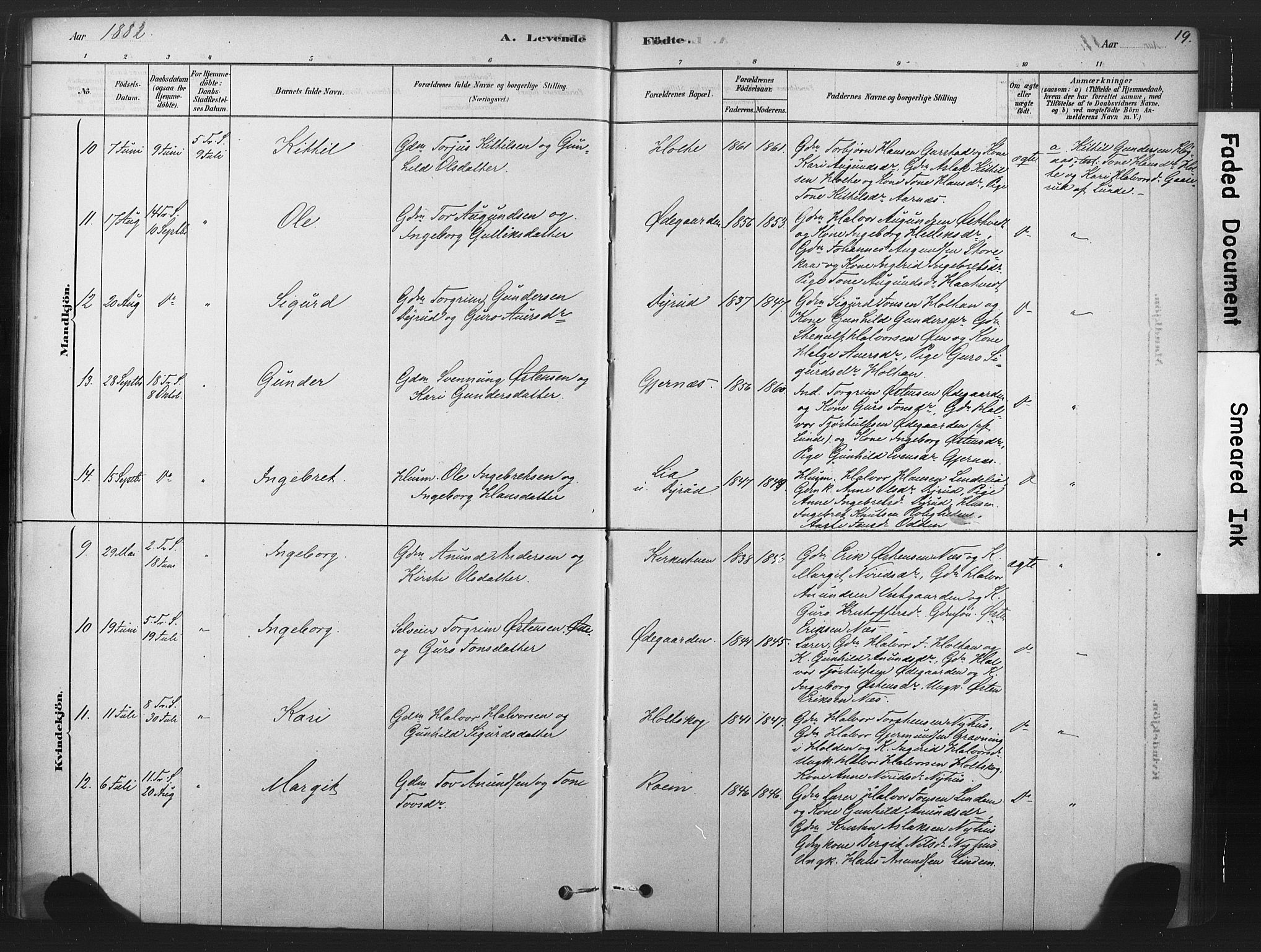 Sauherad kirkebøker, AV/SAKO-A-298/F/Fb/L0002: Parish register (official) no. II 2, 1878-1901, p. 19