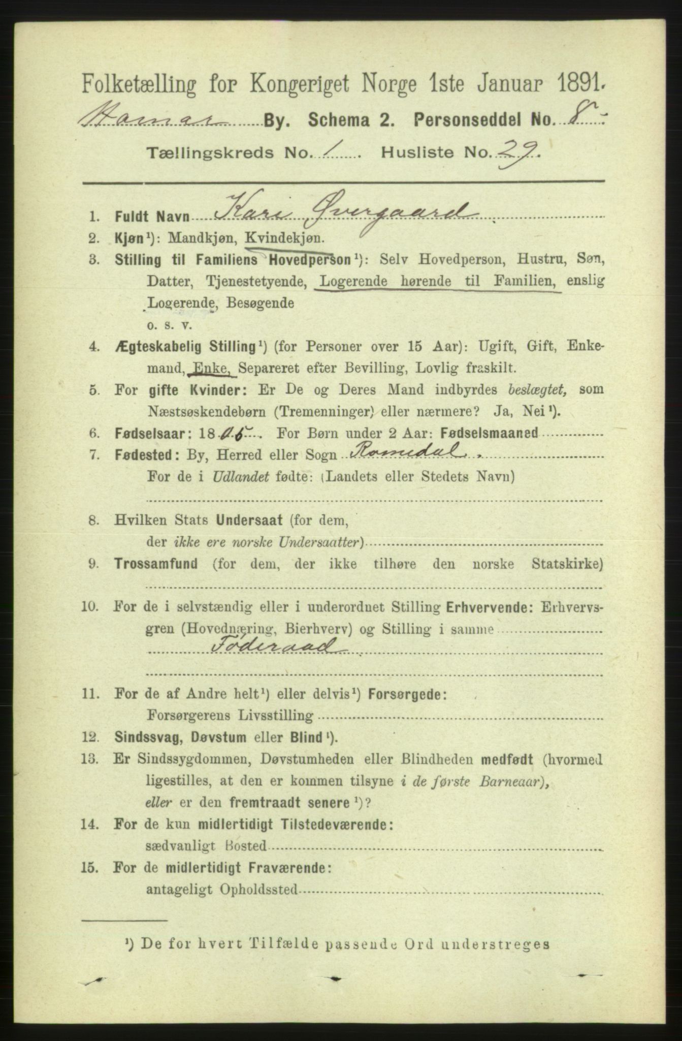 RA, 1891 census for 0401 Hamar, 1891, p. 426