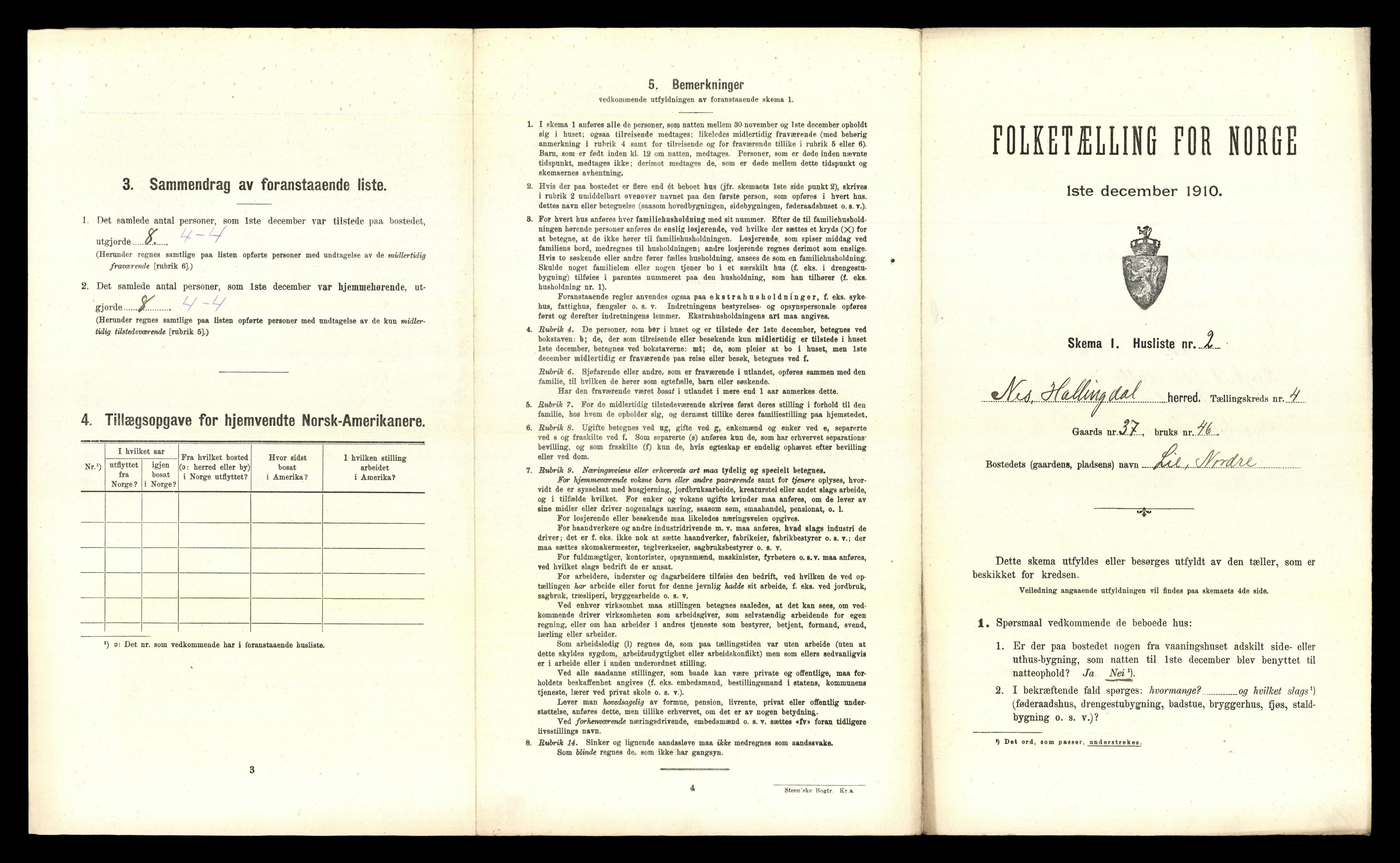 RA, 1910 census for Nes, 1910, p. 224