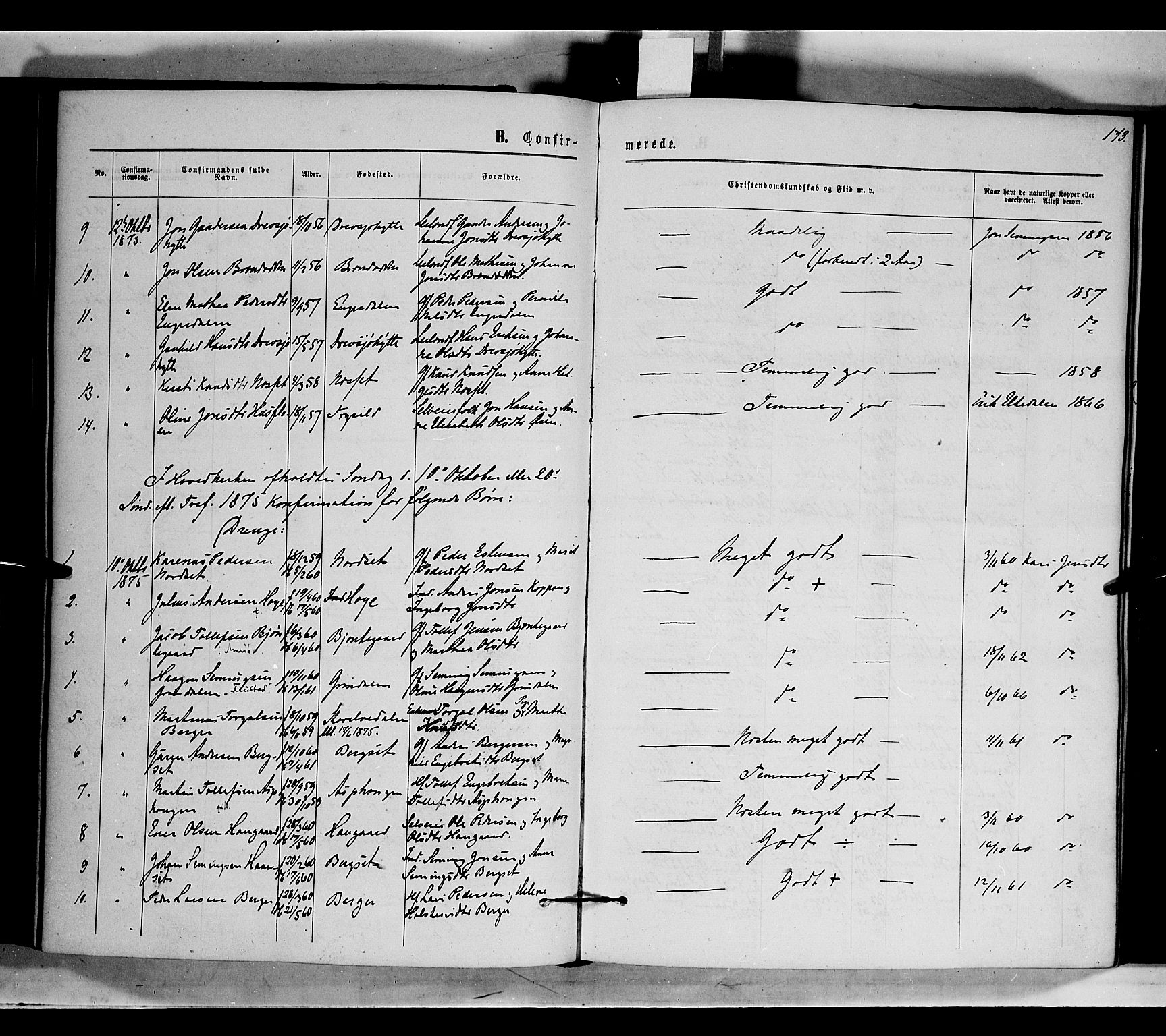 Rendalen prestekontor, AV/SAH-PREST-054/H/Ha/Haa/L0006: Parish register (official) no. 6, 1867-1877, p. 173