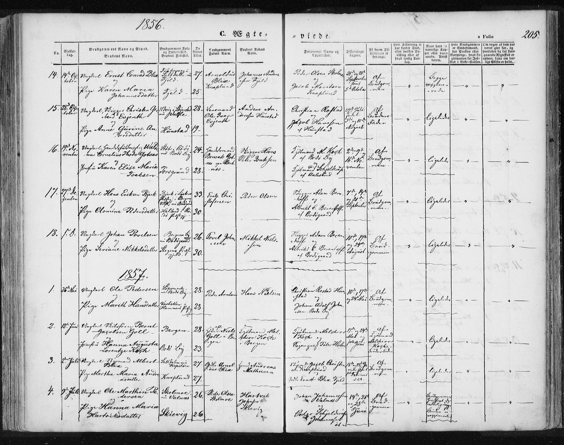 Ministerialprotokoller, klokkerbøker og fødselsregistre - Nordland, AV/SAT-A-1459/801/L0007: Parish register (official) no. 801A07, 1845-1863, p. 205