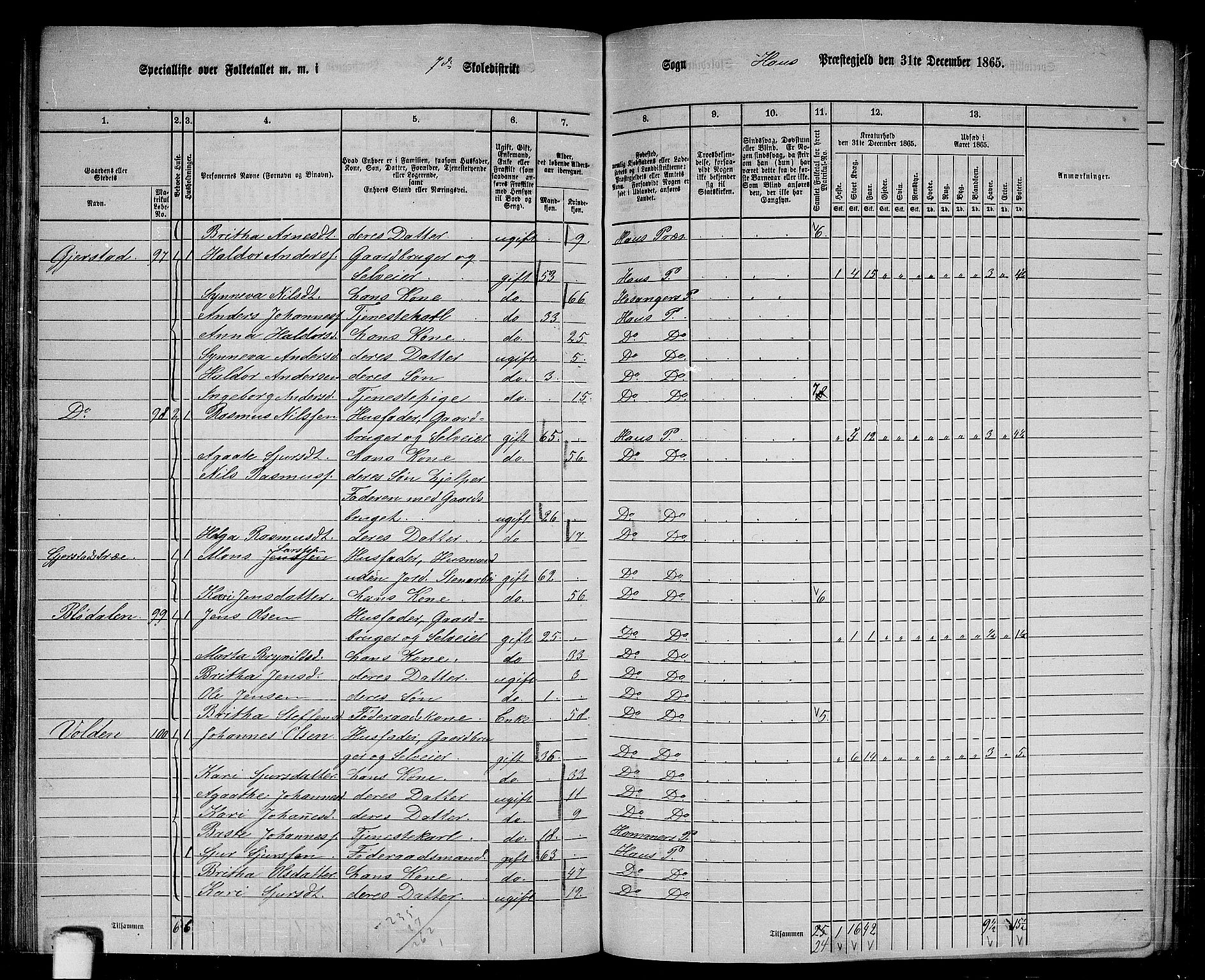 RA, 1865 census for Haus, 1865, p. 136