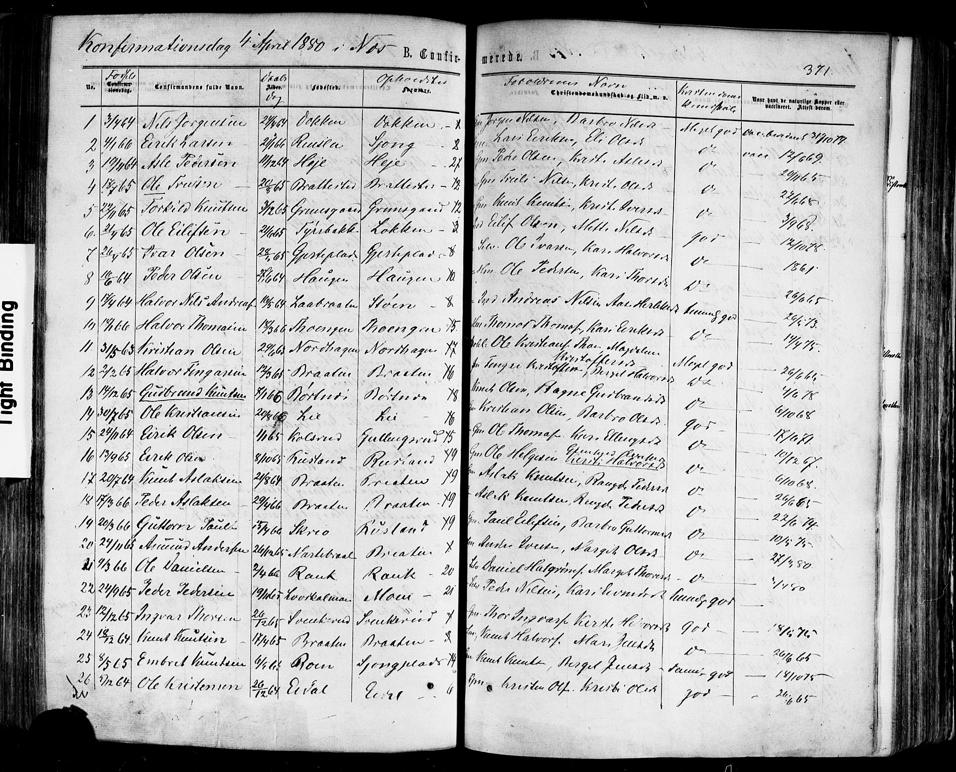 Nes kirkebøker, SAKO/A-236/F/Fa/L0010: Parish register (official) no. 10, 1864-1880, p. 371