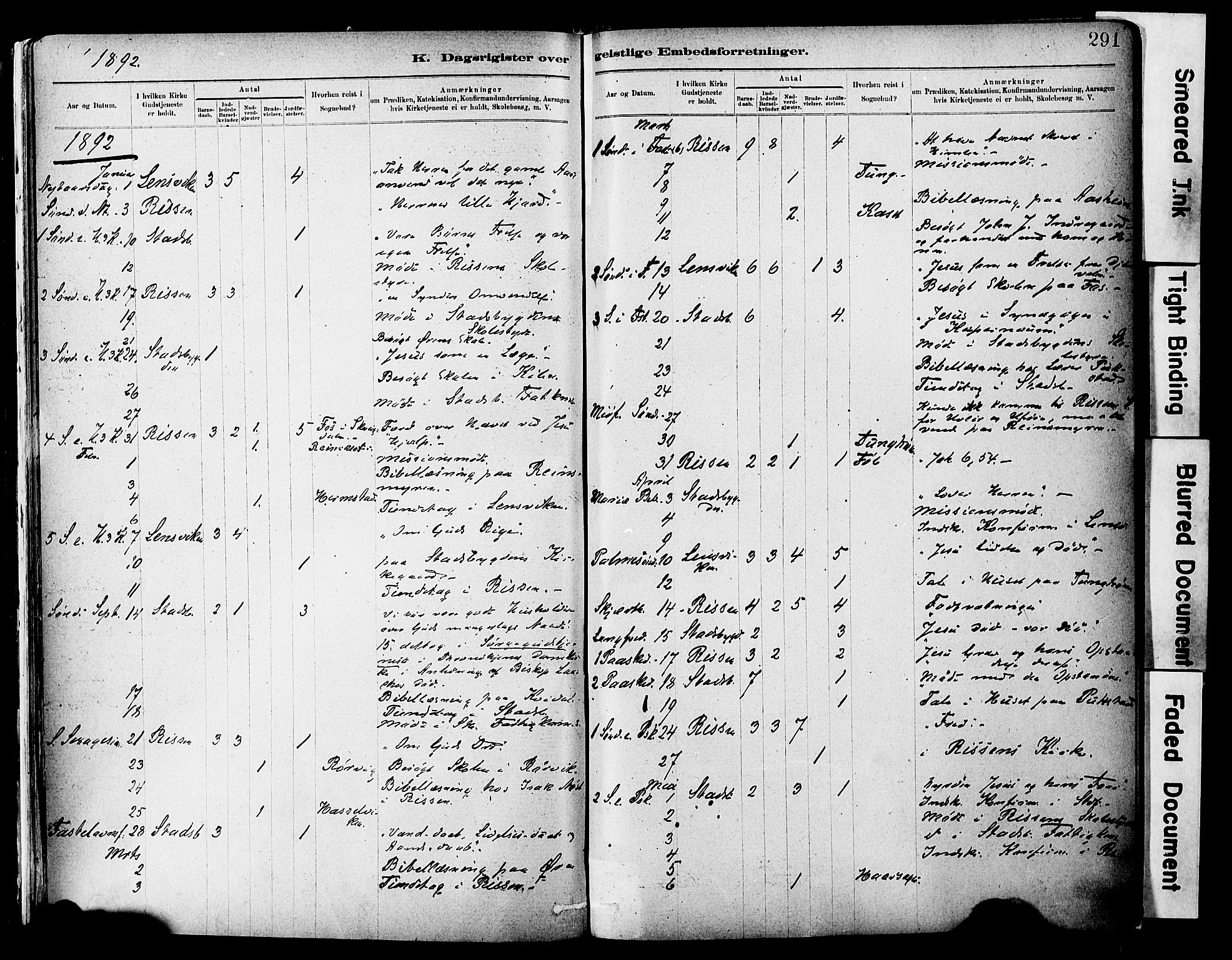 Ministerialprotokoller, klokkerbøker og fødselsregistre - Sør-Trøndelag, SAT/A-1456/646/L0615: Parish register (official) no. 646A13, 1885-1900, p. 291