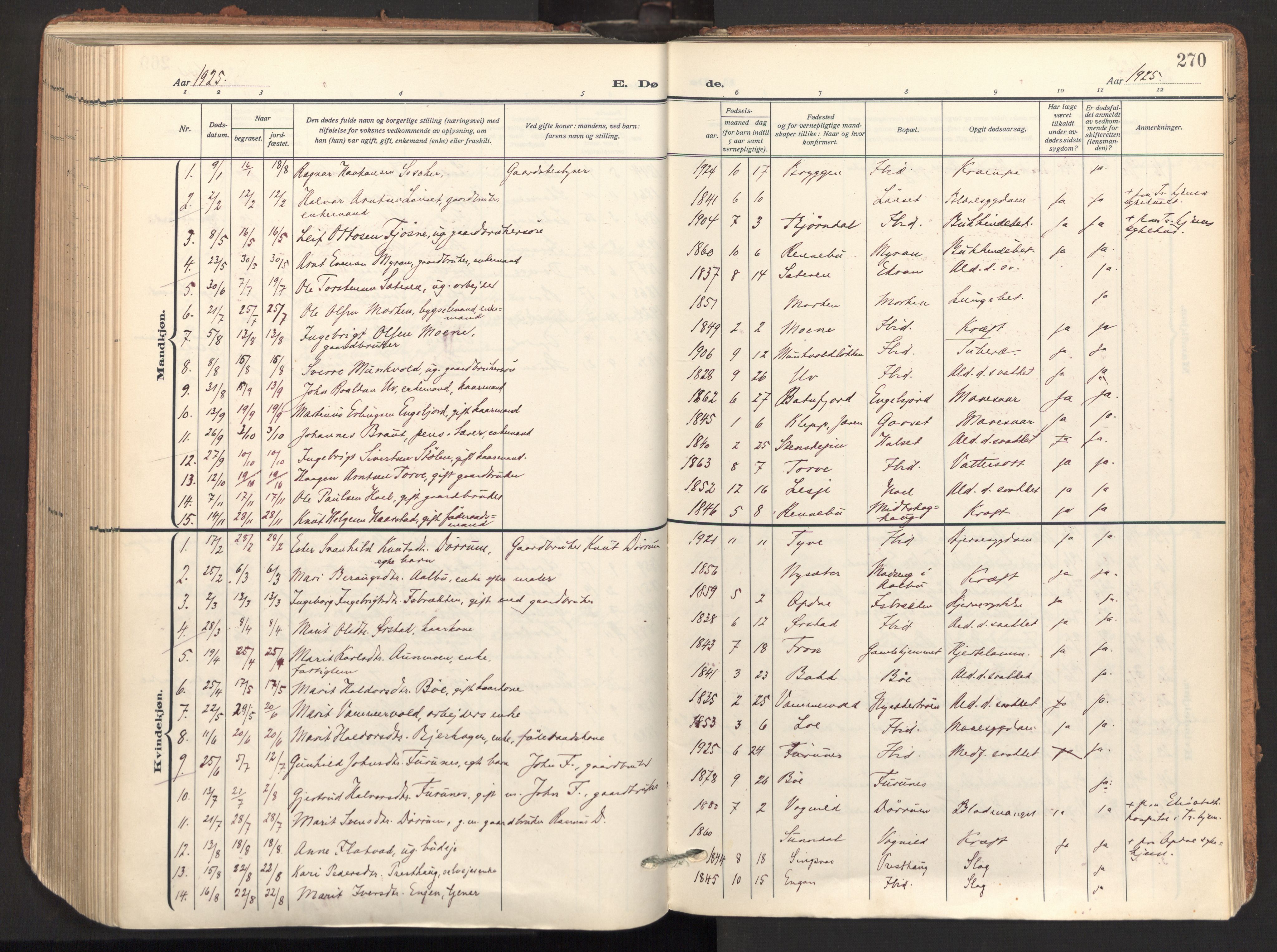 Ministerialprotokoller, klokkerbøker og fødselsregistre - Sør-Trøndelag, SAT/A-1456/678/L0909: Parish register (official) no. 678A17, 1912-1930, p. 270