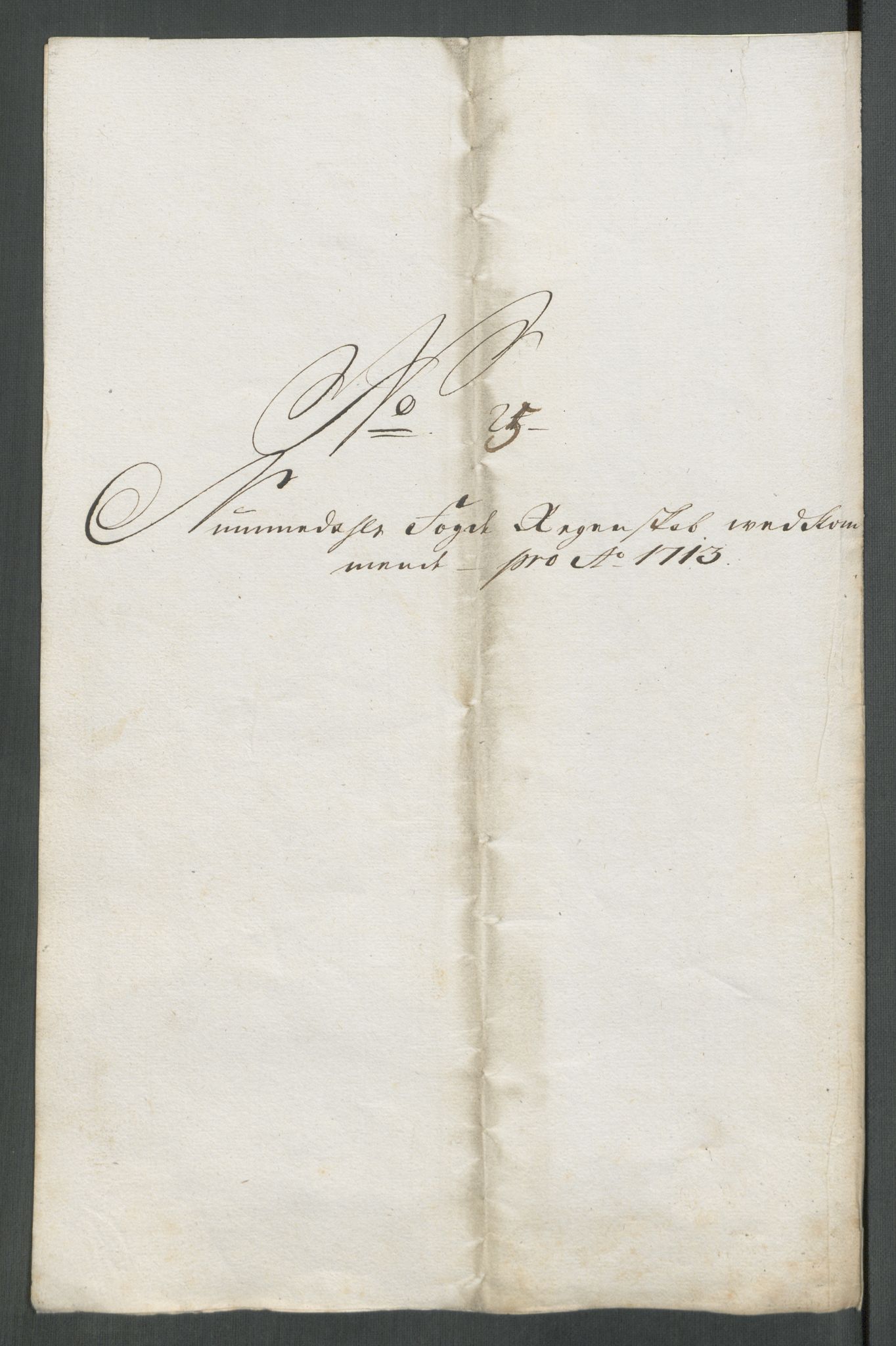 Rentekammeret inntil 1814, Reviderte regnskaper, Fogderegnskap, AV/RA-EA-4092/R64/L4434: Fogderegnskap Namdal, 1713, p. 199