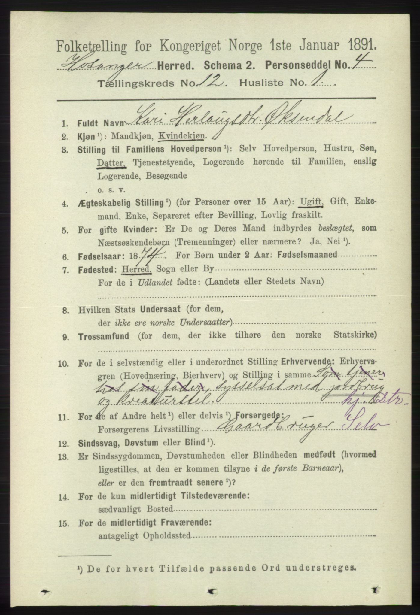 RA, 1891 census for 1253 Hosanger, 1891, p. 4001