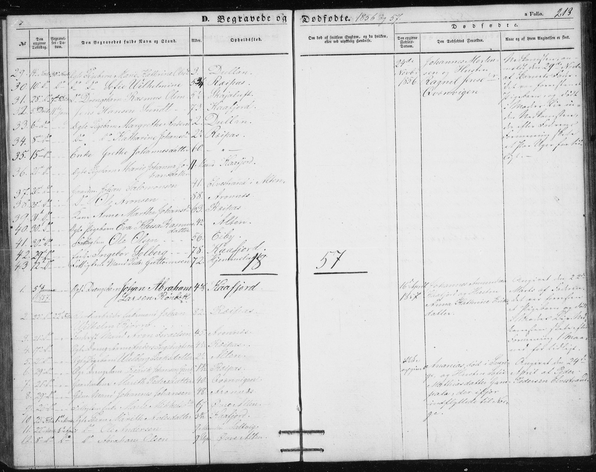 Alta sokneprestkontor, SATØ/S-1338/H/Hb/L0002.klokk: Parish register (copy) no. 2, 1856-1880, p. 213