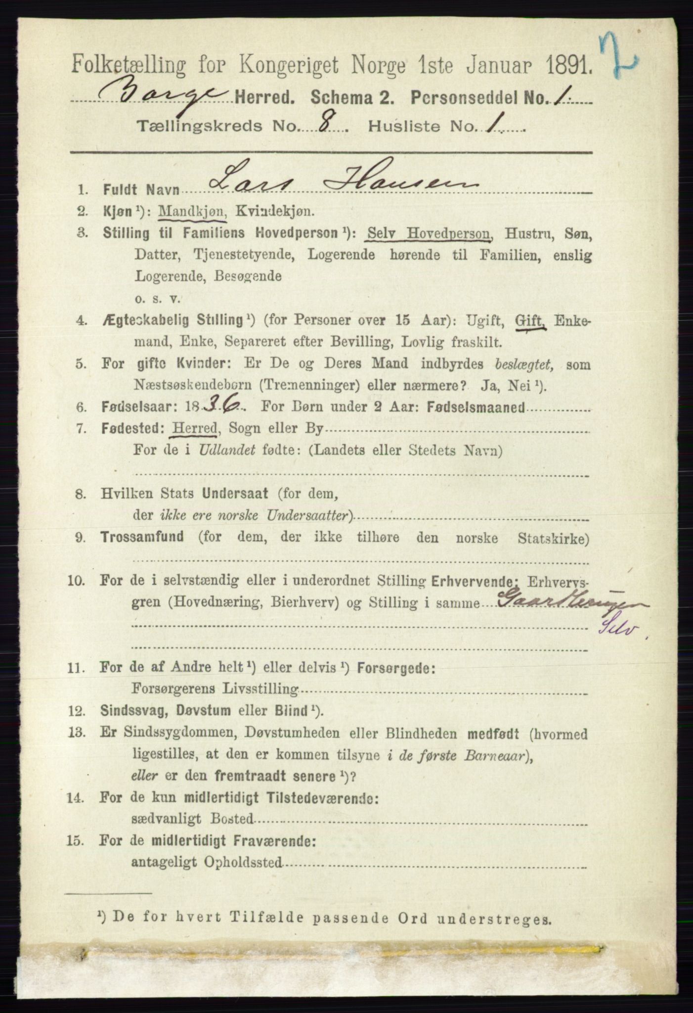 RA, 1891 census for 0113 Borge, 1891, p. 5129