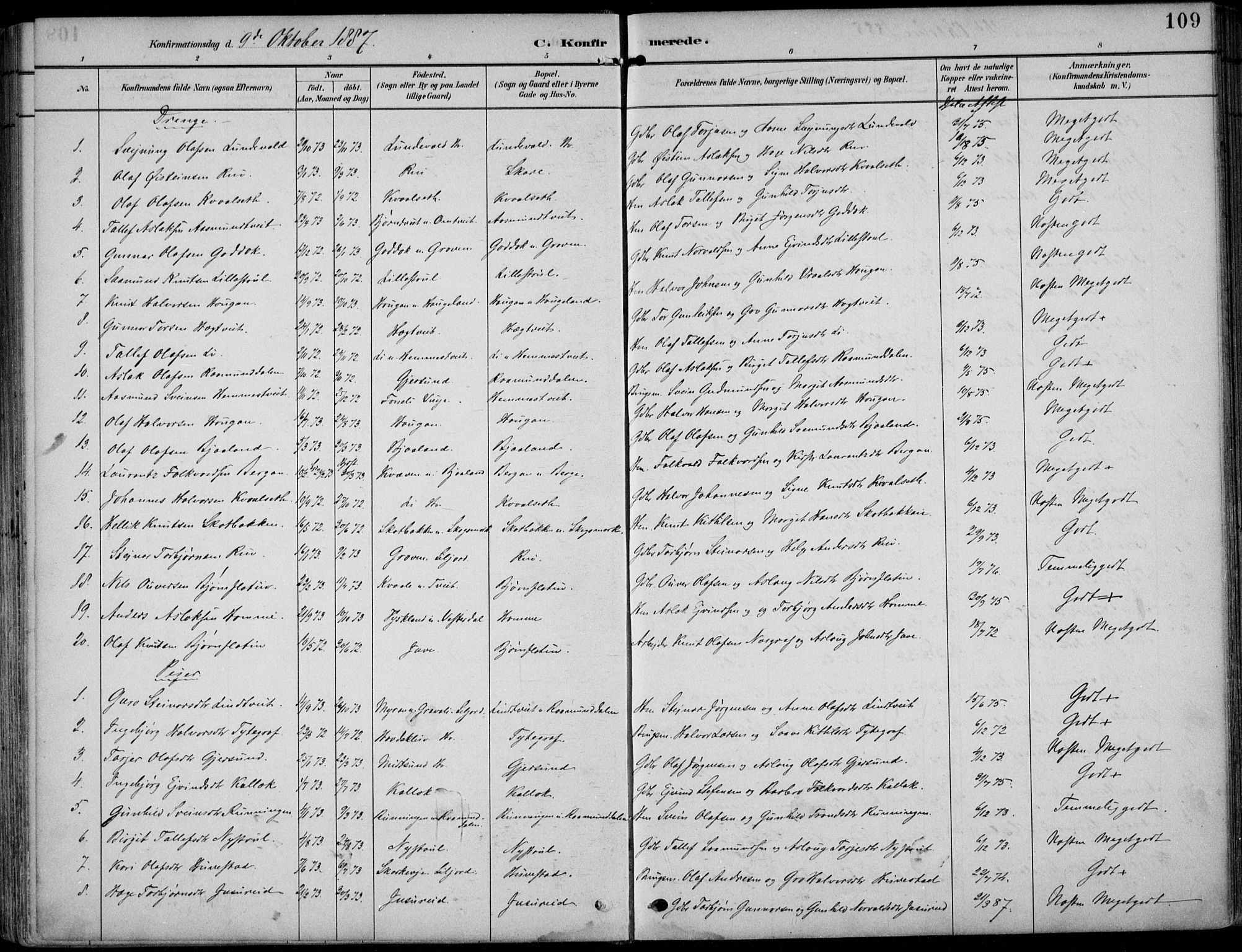 Kviteseid kirkebøker, SAKO/A-276/F/Fb/L0002: Parish register (official) no. II 2, 1882-1916, p. 109
