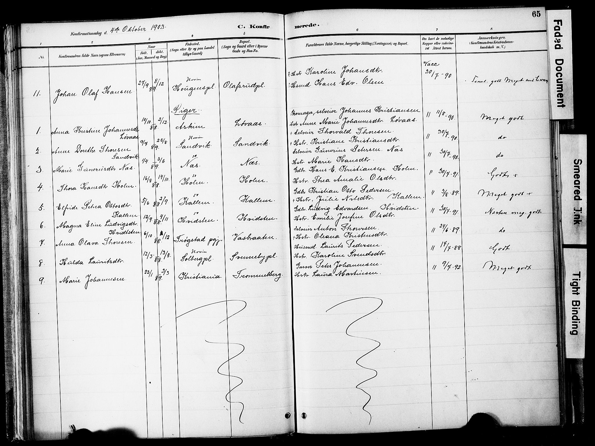 Spydeberg prestekontor Kirkebøker, AV/SAO-A-10924/F/Fb/L0001: Parish register (official) no. II 1, 1886-1907, p. 65