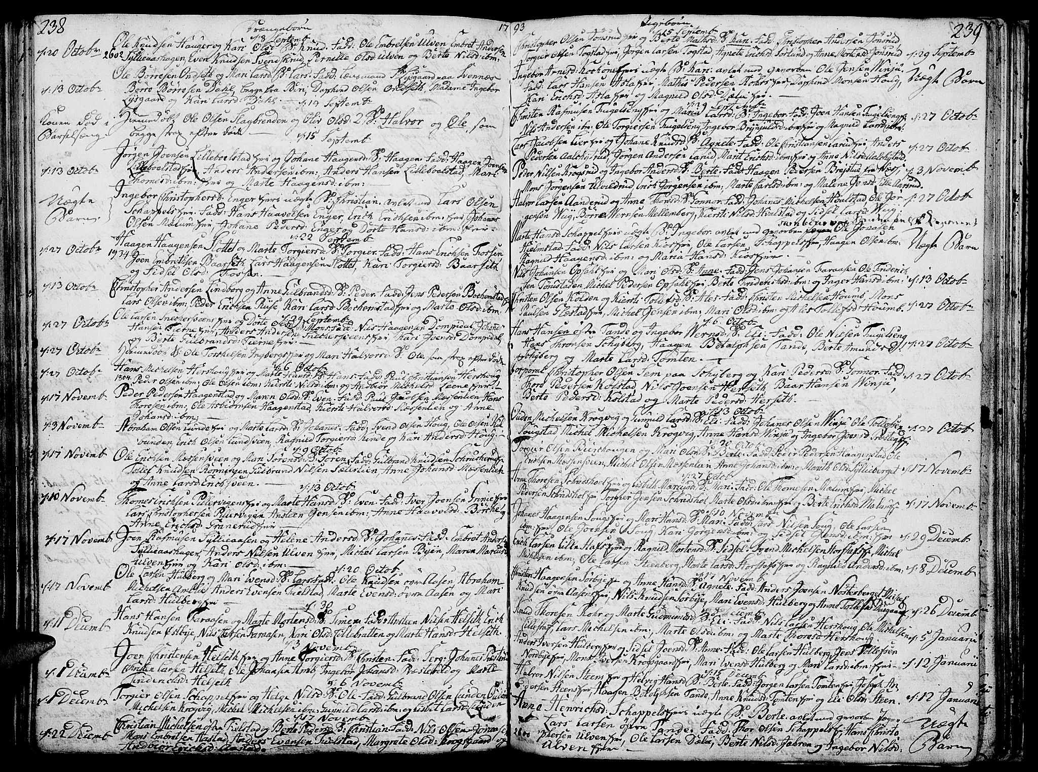 Ringsaker prestekontor, AV/SAH-PREST-014/K/Ka/L0003: Parish register (official) no. 3, 1775-1798, p. 238-239