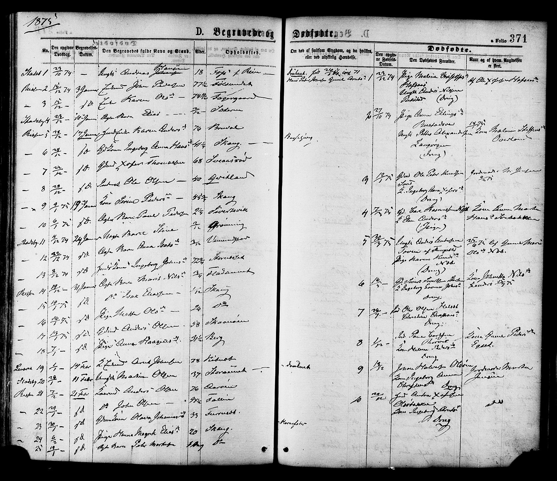Ministerialprotokoller, klokkerbøker og fødselsregistre - Sør-Trøndelag, SAT/A-1456/646/L0613: Parish register (official) no. 646A11, 1870-1884, p. 371
