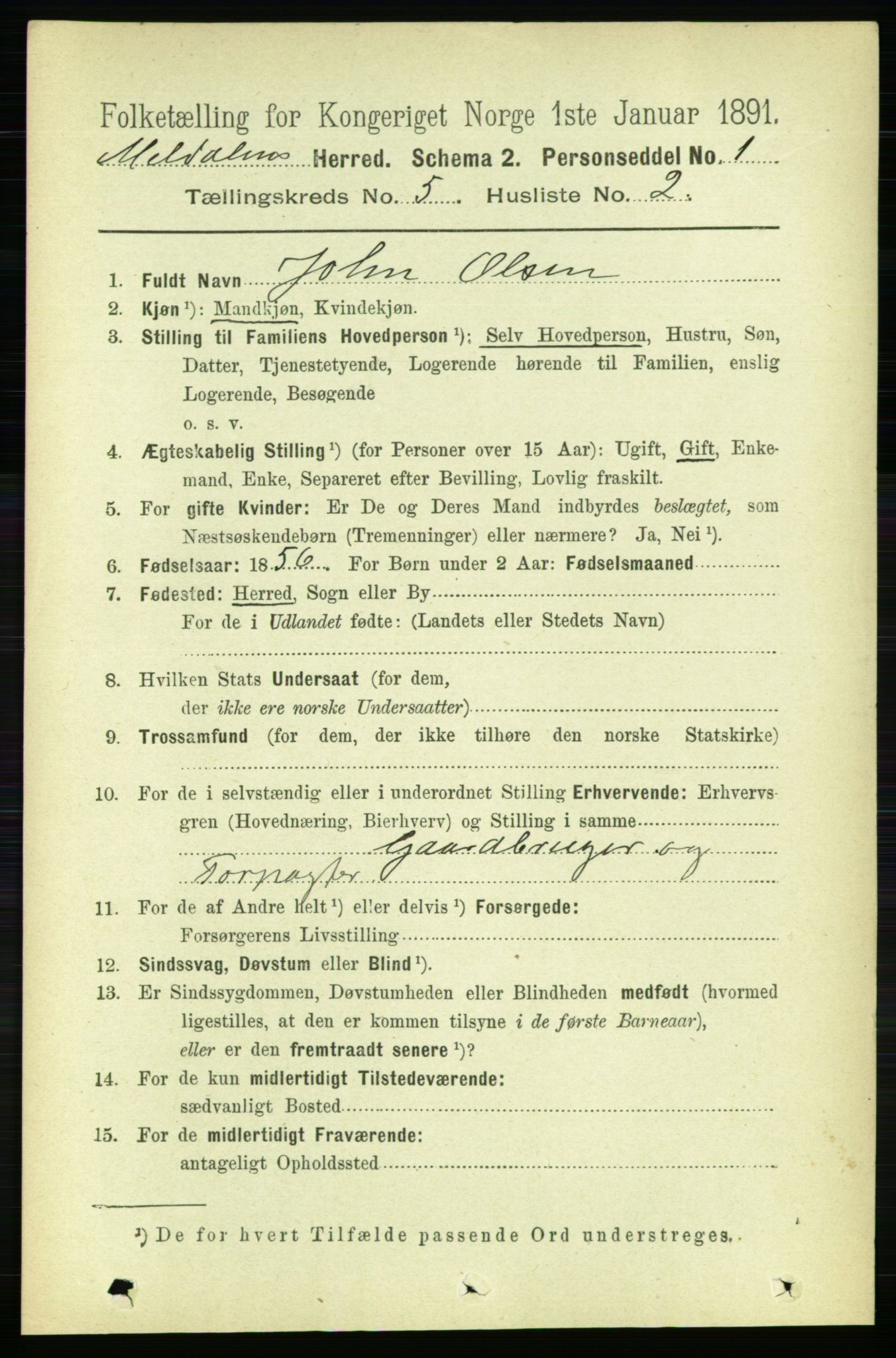 RA, 1891 census for 1636 Meldal, 1891, p. 2528