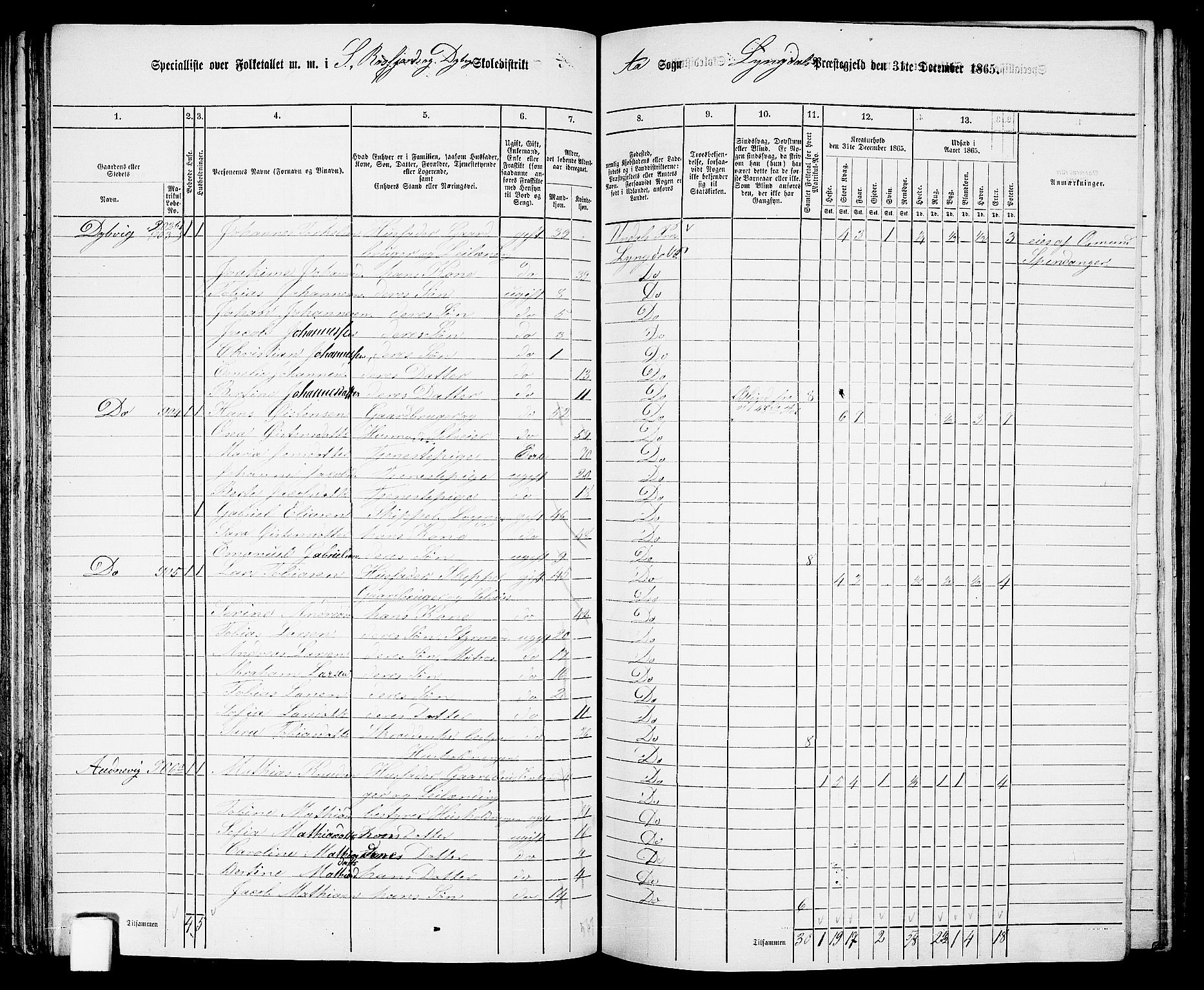 RA, 1865 census for Lyngdal, 1865, p. 104