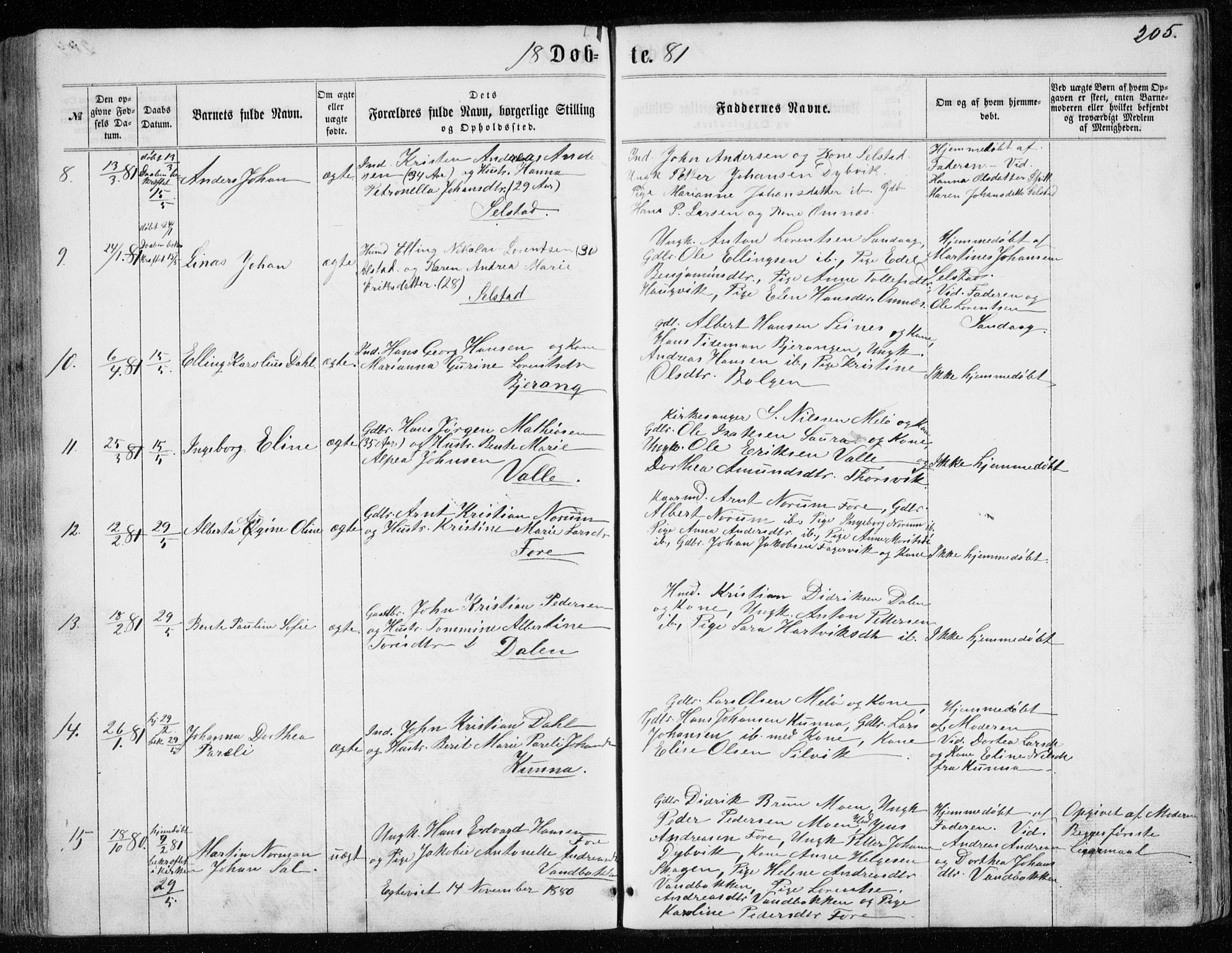 Ministerialprotokoller, klokkerbøker og fødselsregistre - Nordland, AV/SAT-A-1459/843/L0634: Parish register (copy) no. 843C03, 1860-1884, p. 205