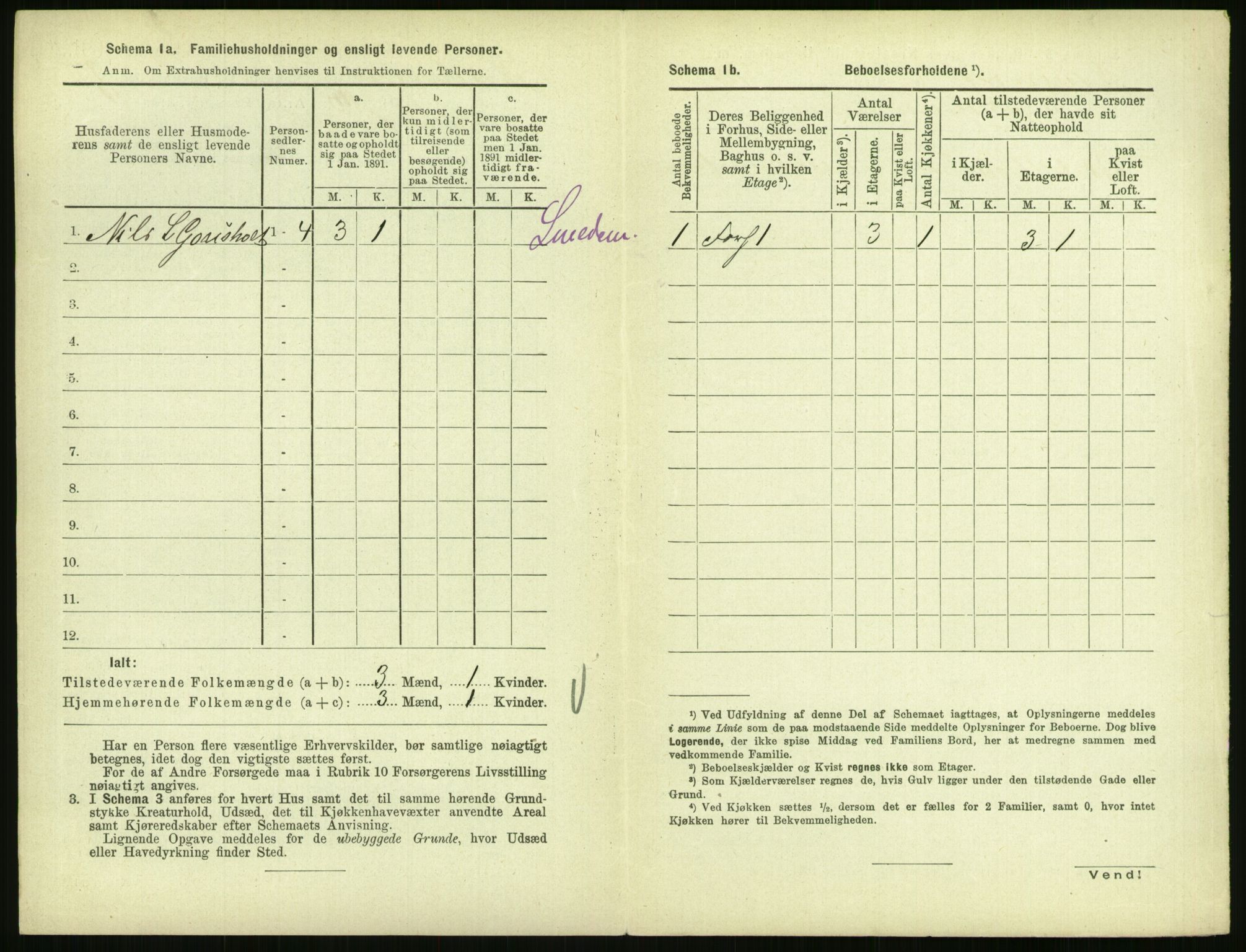 RA, 1891 census for 0707 Larvik, 1891, p. 1236