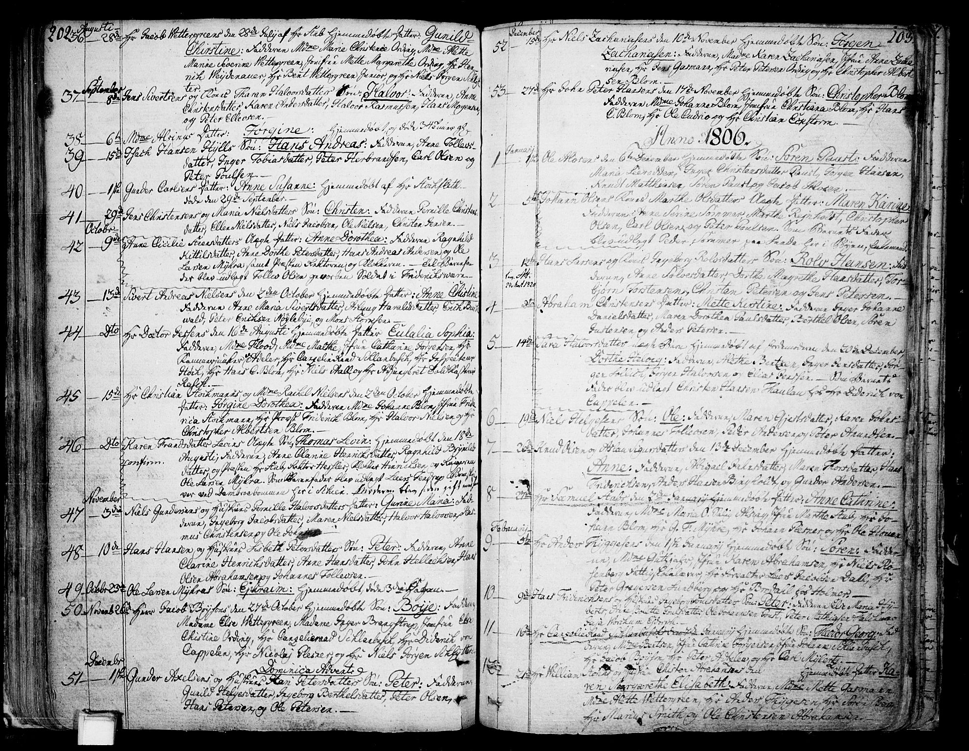 Skien kirkebøker, SAKO/A-302/F/Fa/L0004: Parish register (official) no. 4, 1792-1814, p. 202-203