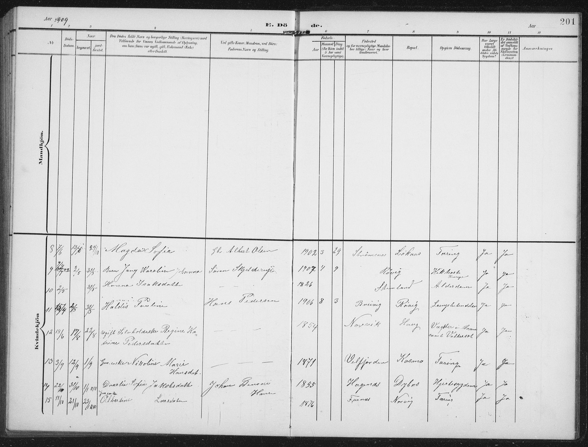 Ministerialprotokoller, klokkerbøker og fødselsregistre - Nordland, AV/SAT-A-1459/851/L0726: Parish register (copy) no. 851C01, 1902-1924, p. 201