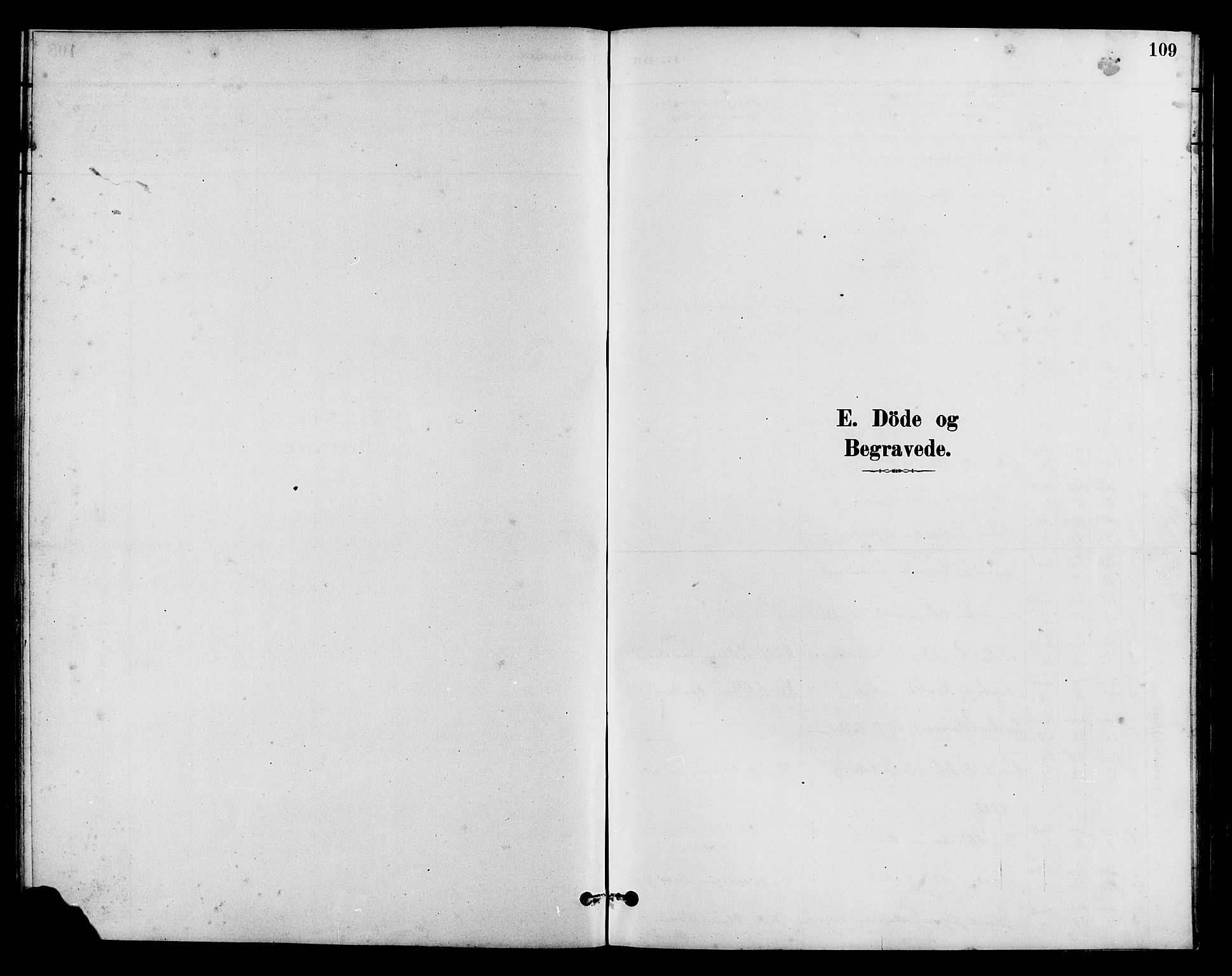 Vestre Slidre prestekontor, SAH/PREST-136/H/Ha/Hab/L0005: Parish register (copy) no. 5, 1881-1913, p. 109