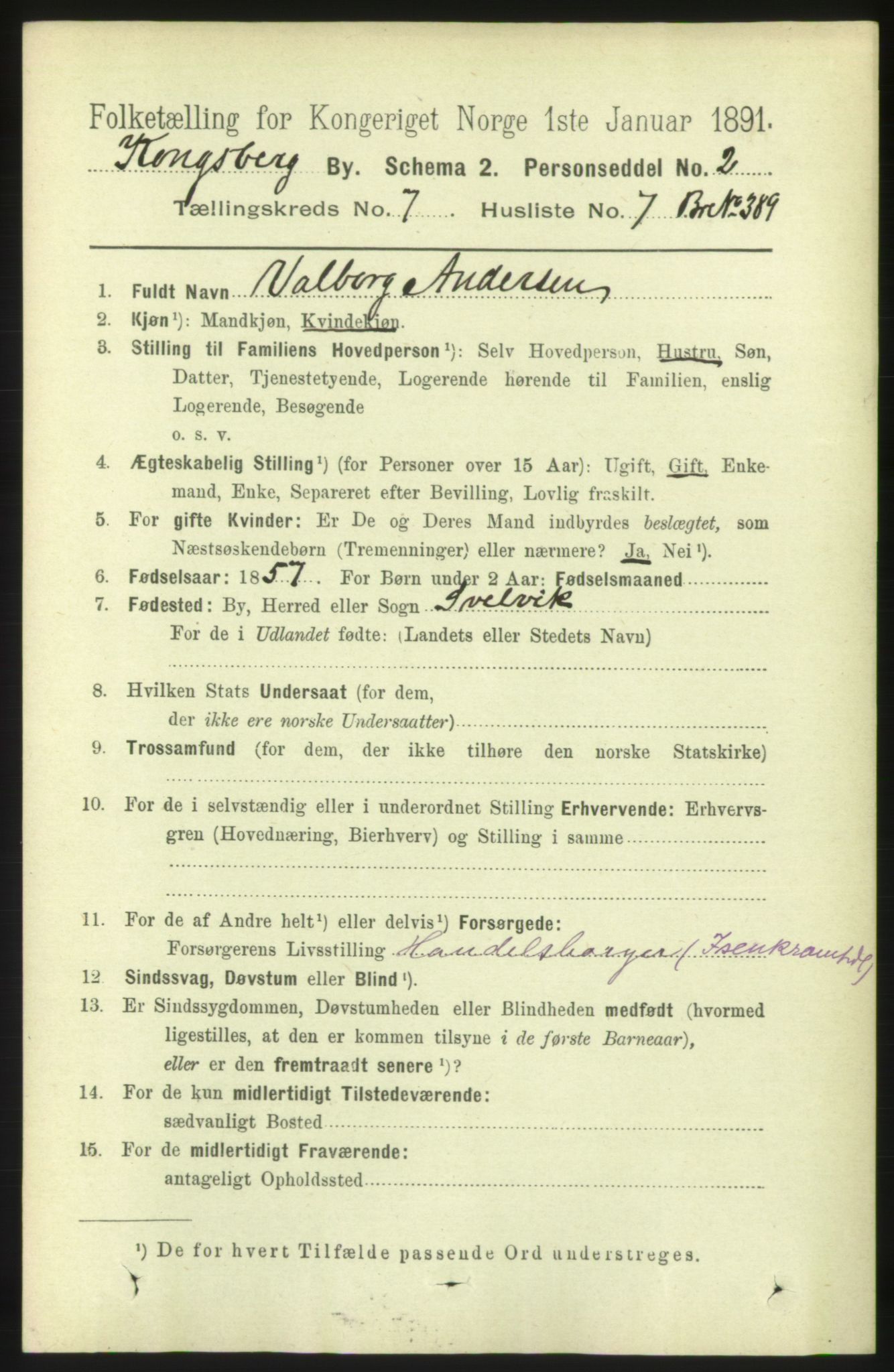 RA, 1891 census for 0604 Kongsberg, 1891, p. 5056