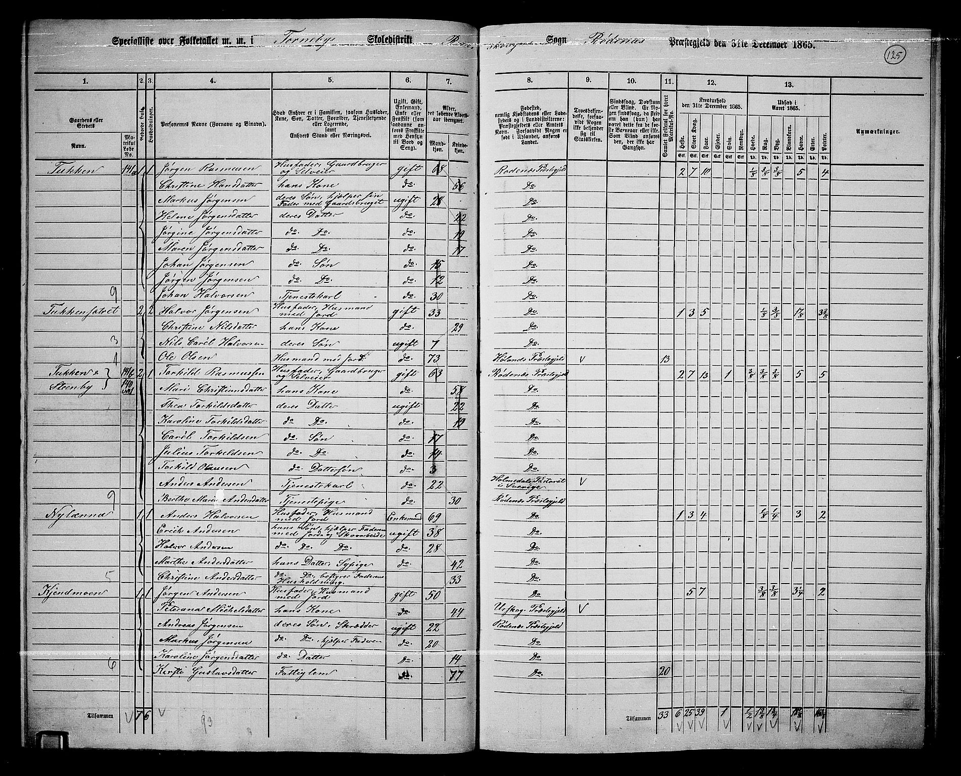 RA, 1865 census for Rødenes, 1865, p. 109