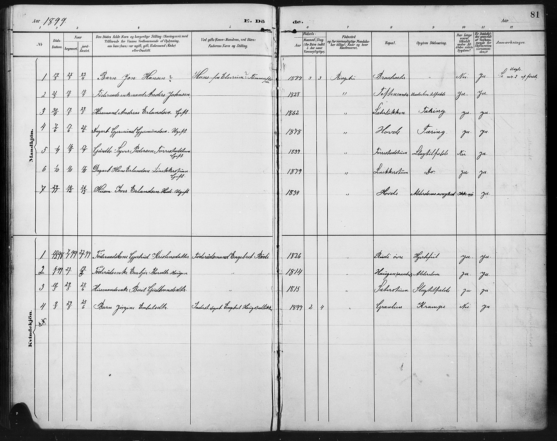 Ringebu prestekontor, SAH/PREST-082/H/Ha/Hab/L0008: Parish register (copy) no. 8, 1890-1922, p. 81