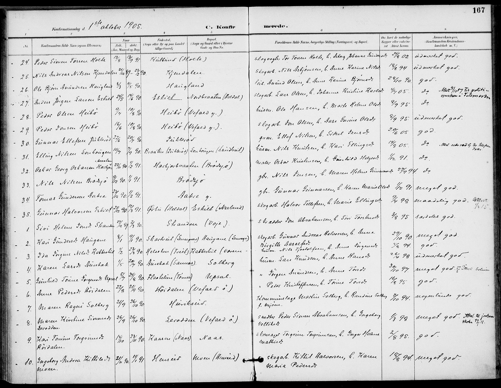 Drangedal kirkebøker, SAKO/A-258/F/Fa/L0012: Parish register (official) no. 12, 1895-1905, p. 167