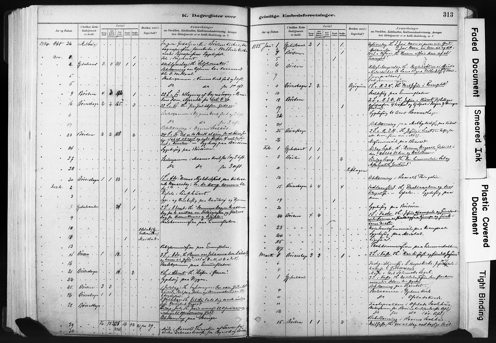 Ministerialprotokoller, klokkerbøker og fødselsregistre - Sør-Trøndelag, SAT/A-1456/665/L0773: Parish register (official) no. 665A08, 1879-1905, p. 313
