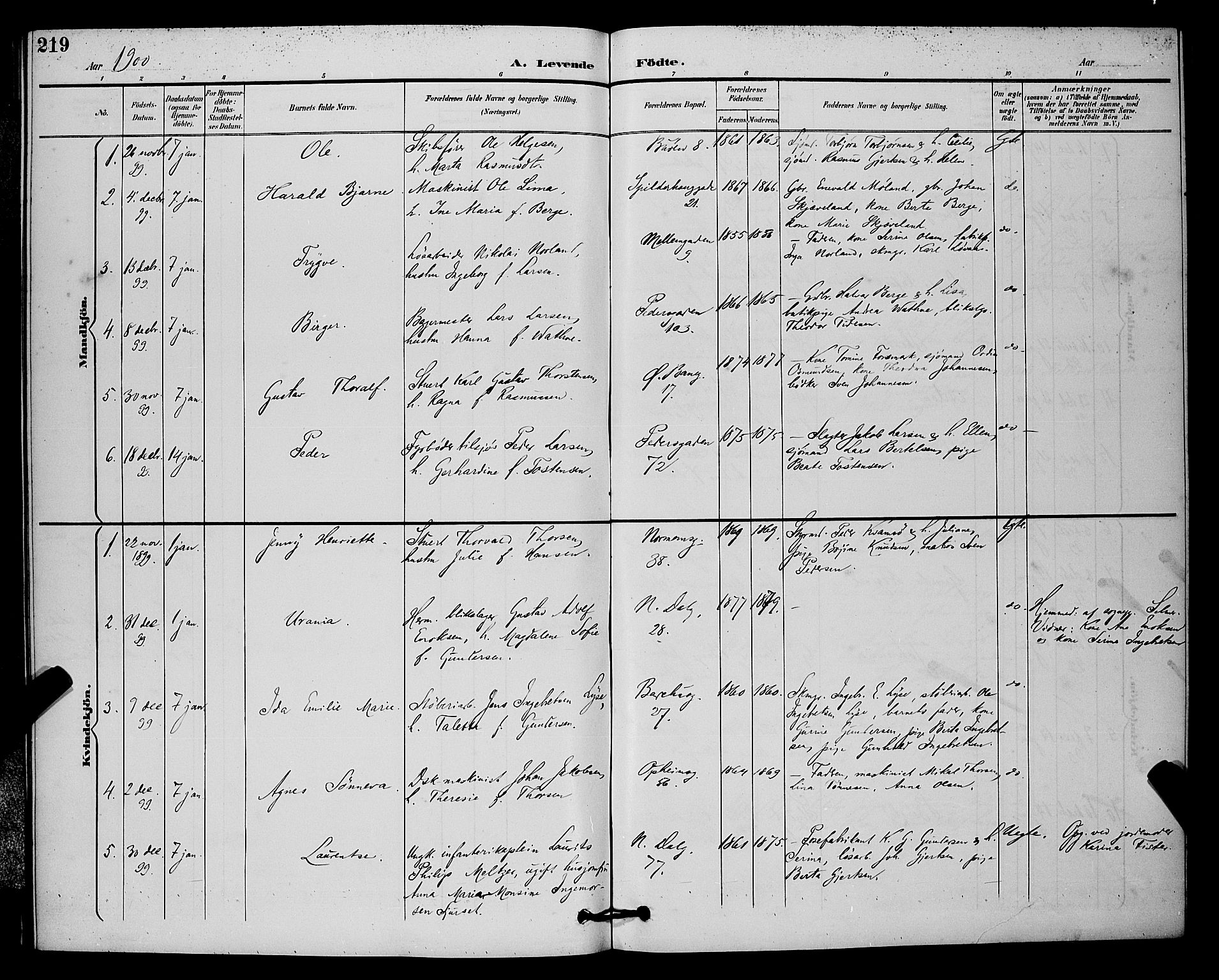 St. Johannes sokneprestkontor, SAST/A-101814/001/30/30BB/L0003: Parish register (copy) no. B 3, 1893-1900, p. 219
