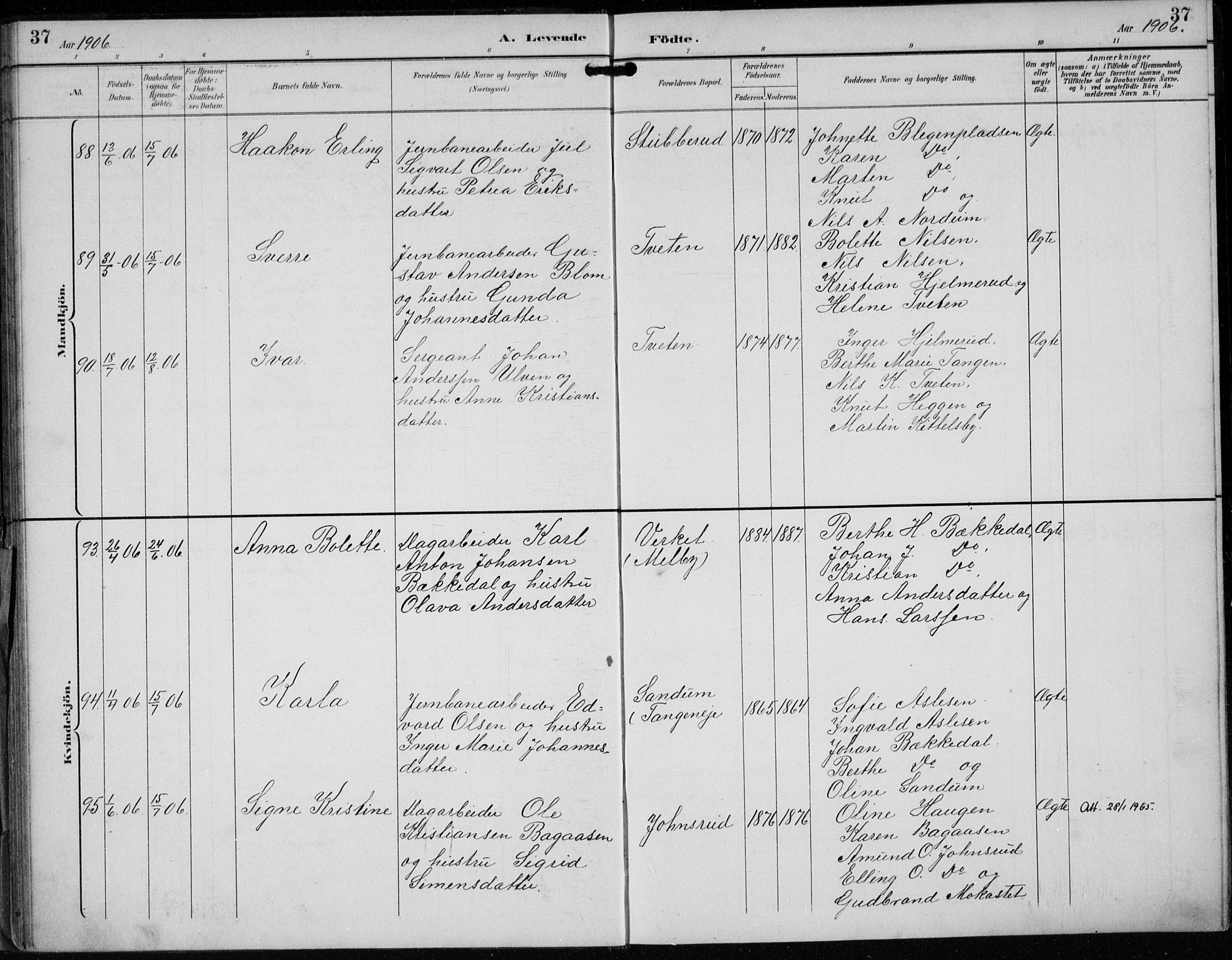 Lunder kirkebøker, AV/SAKO-A-629/F/Fb/L0001: Parish register (official) no. II 1, 1893-1916, p. 37