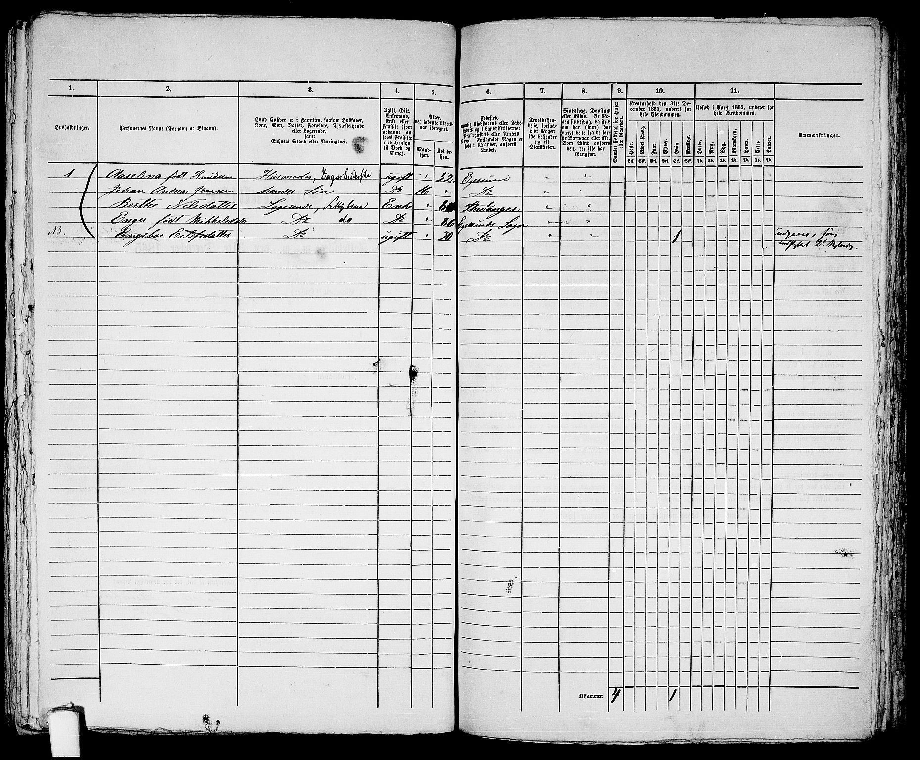 RA, 1865 census for Eigersund parish, Egersund town, 1865, p. 409