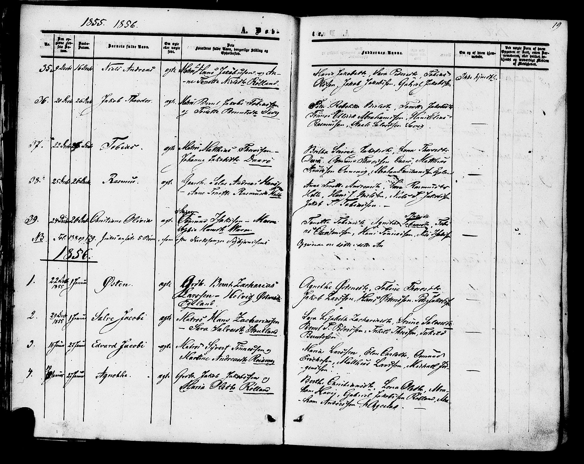 Herad sokneprestkontor, SAK/1111-0018/F/Fa/Fab/L0004: Parish register (official) no. A 4, 1853-1885, p. 19
